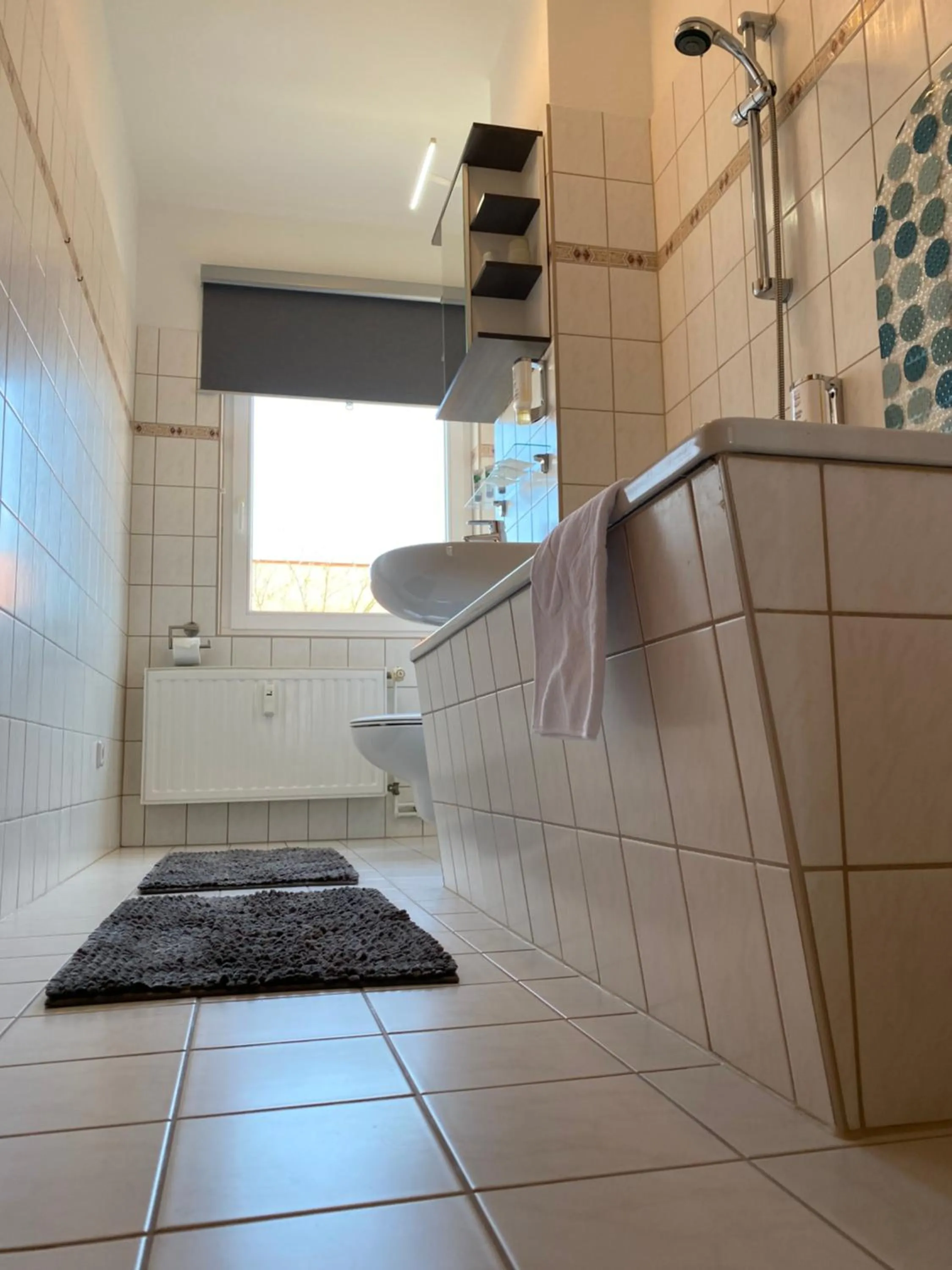 Viadrina Rooms & Apartments Frankfurt-Oder am Park im Zentrum