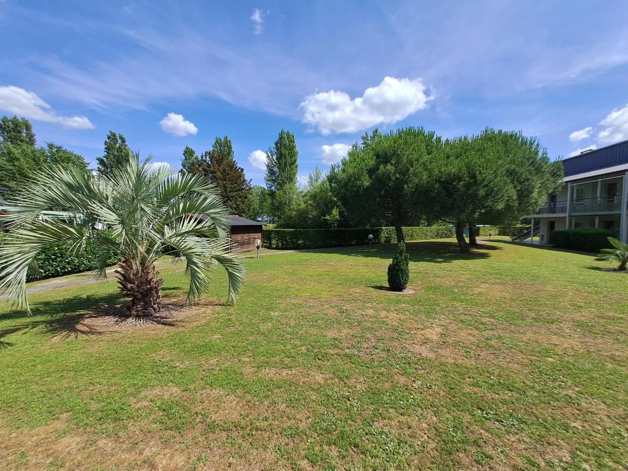 Garden in Hotel Anjou à L'Océane Angers-Le Mans