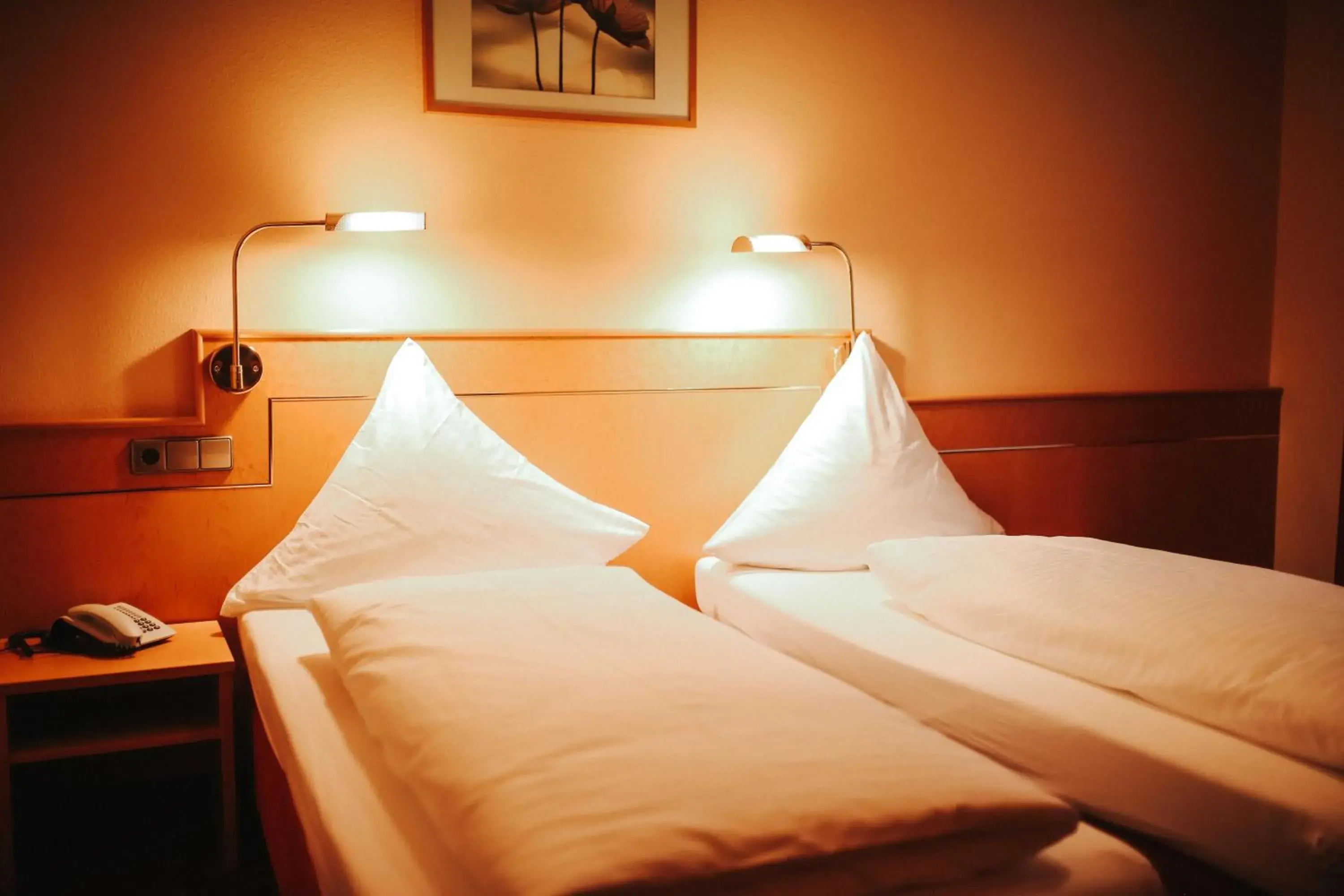 Superior Double Room in Hotel & Restaurant Adler Superior Double Room in Hotel & Restaurant Adler
