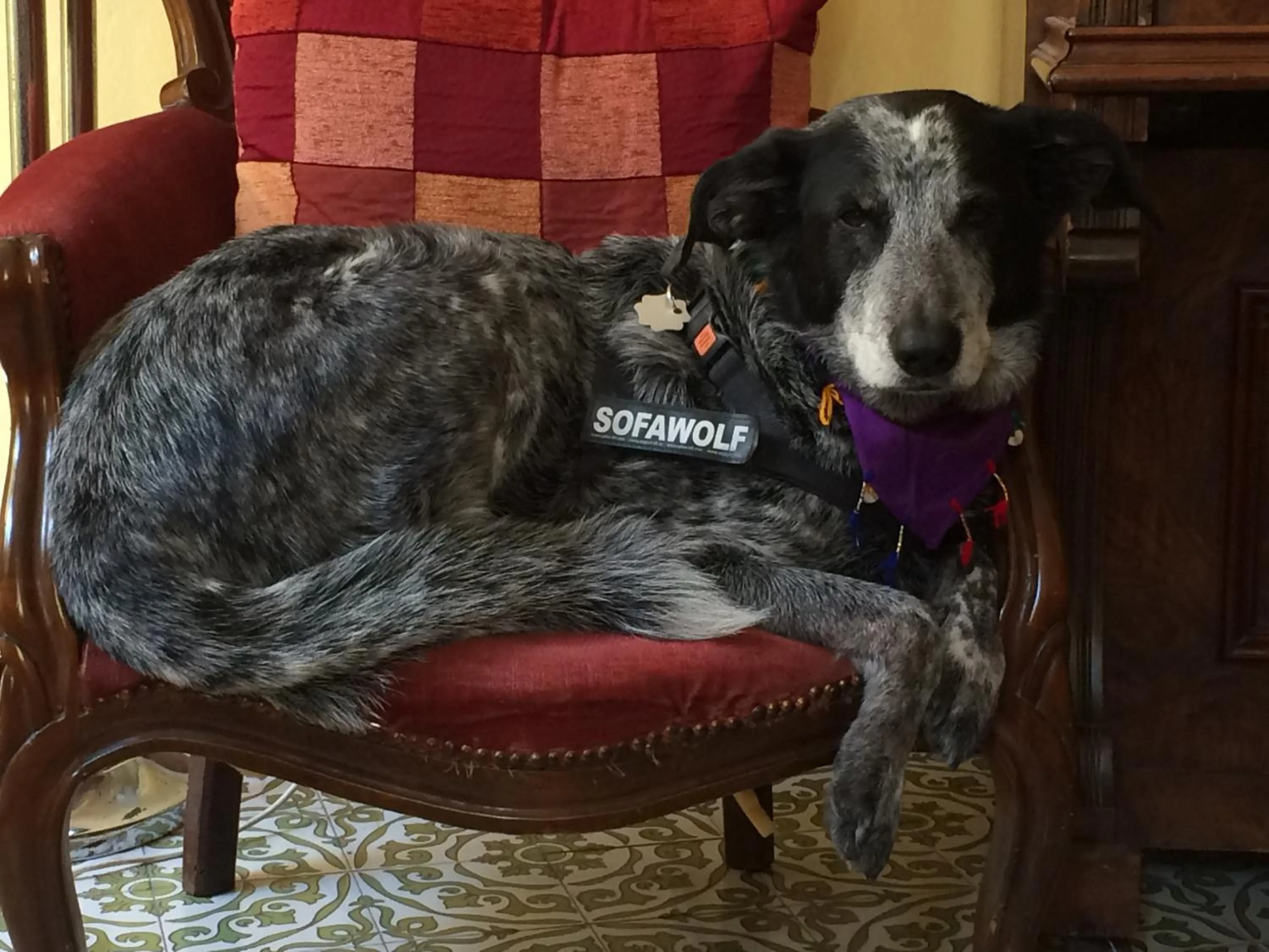 People in La Gemma Di Elena