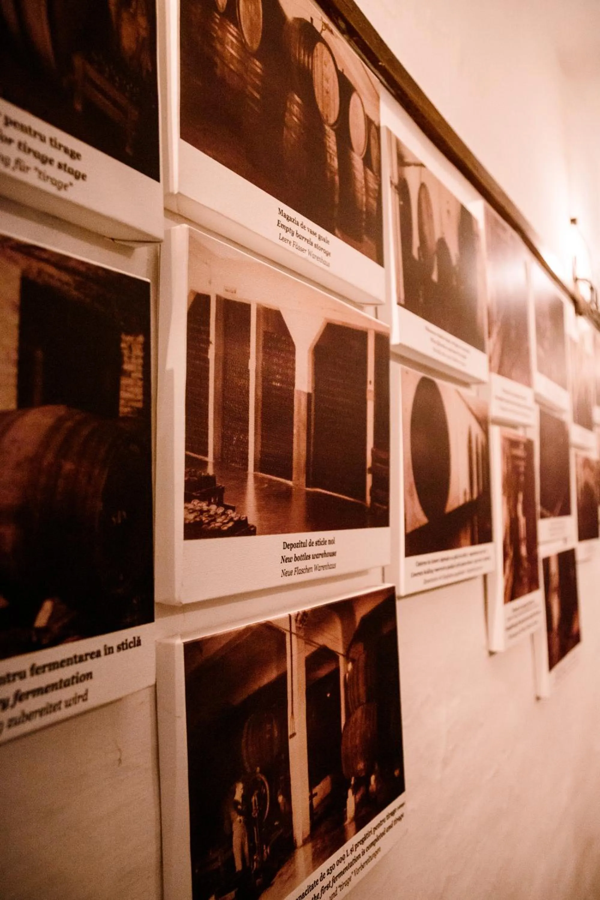 Property building in Pensiunea Rhein