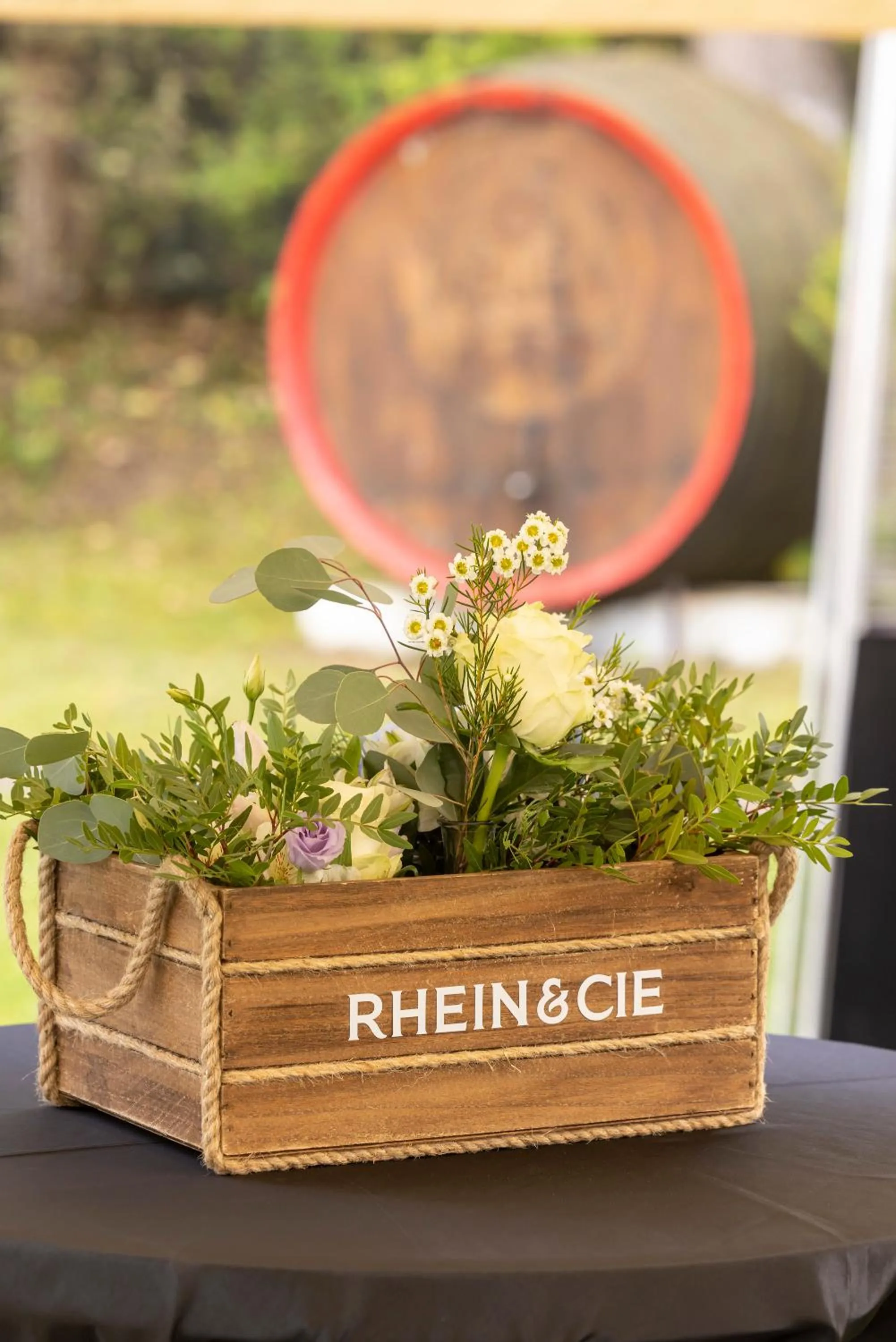 Property building in Pensiunea Rhein