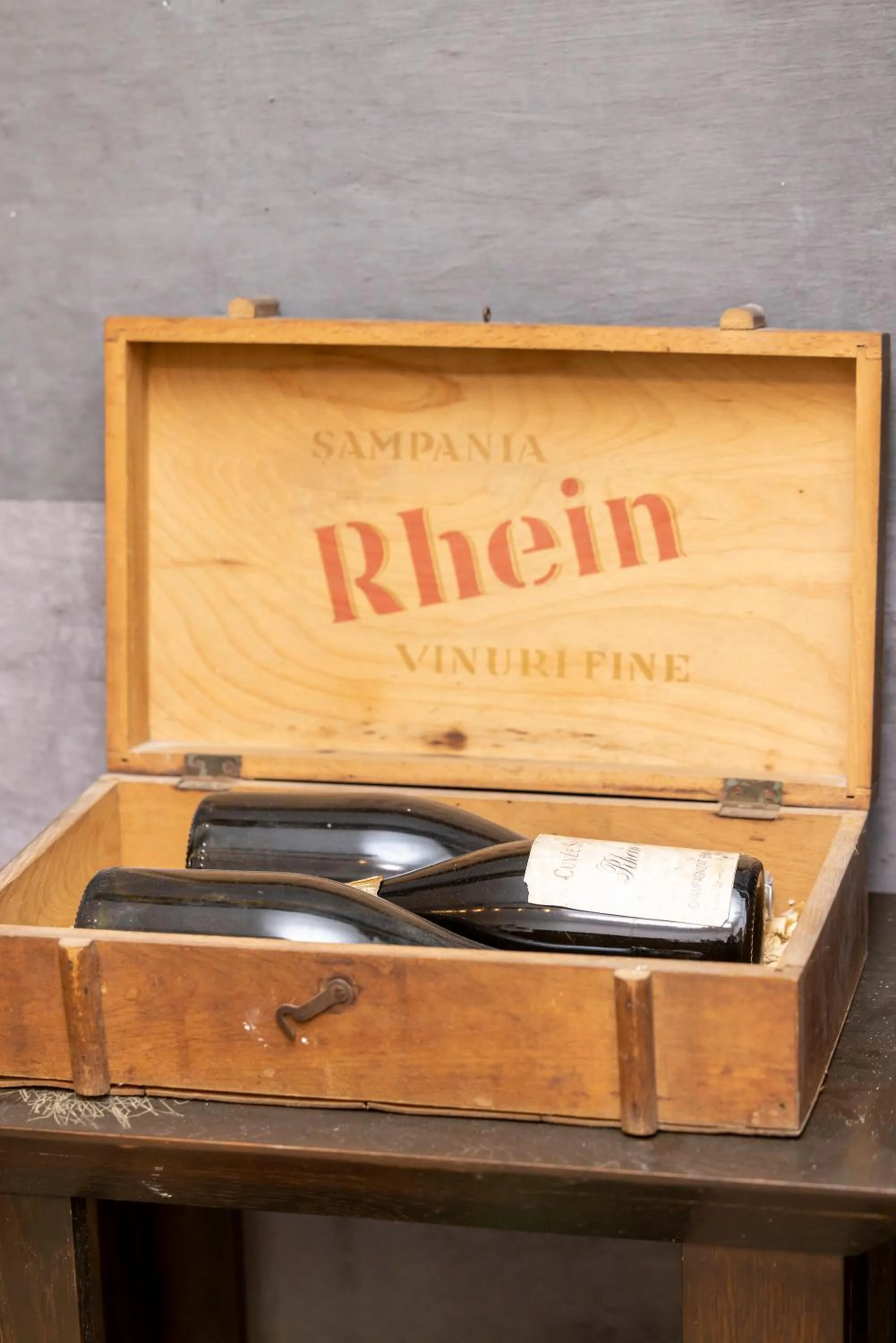 Property building in Pensiunea Rhein