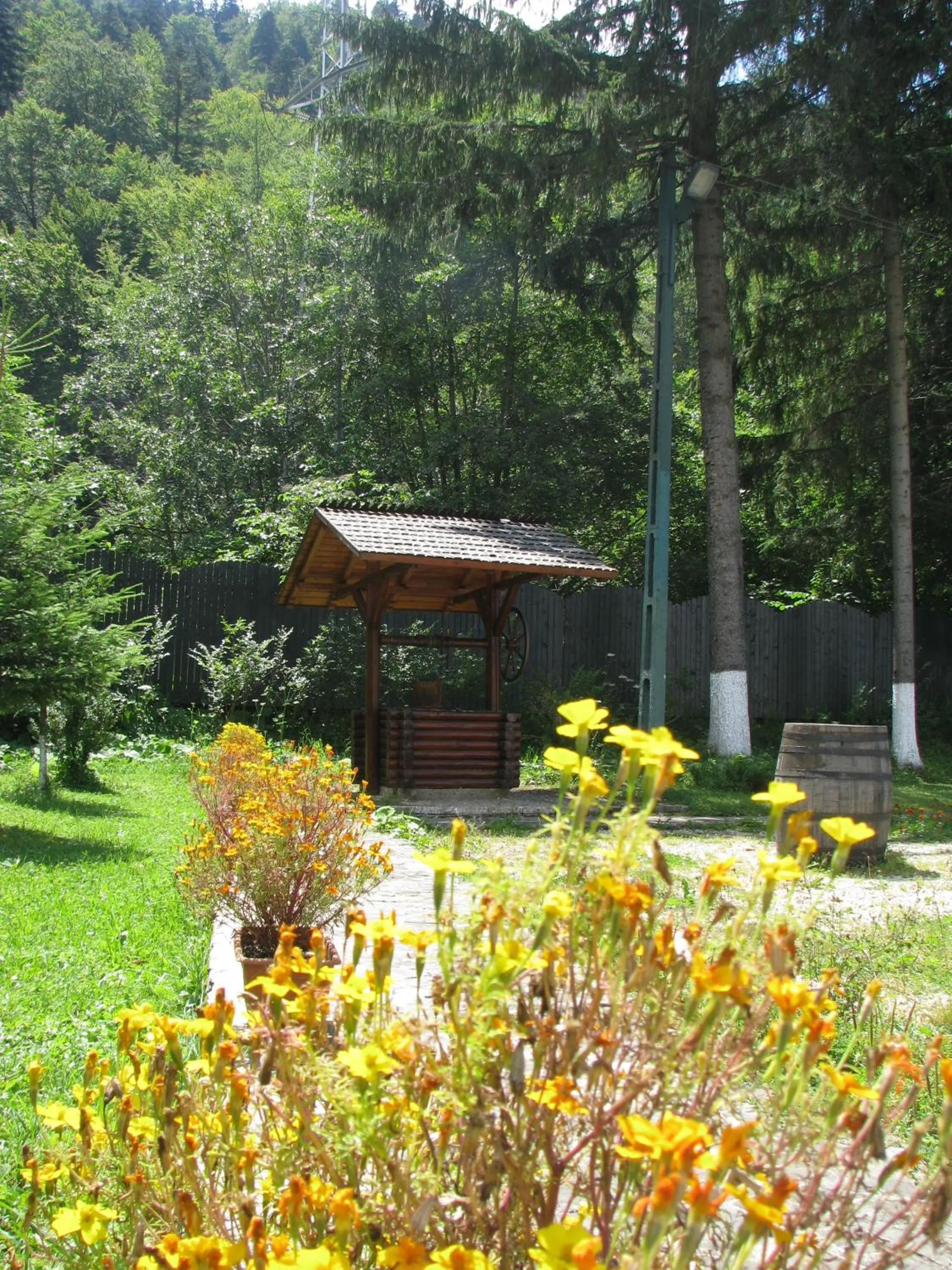 Garden in Pensiunea Rhein