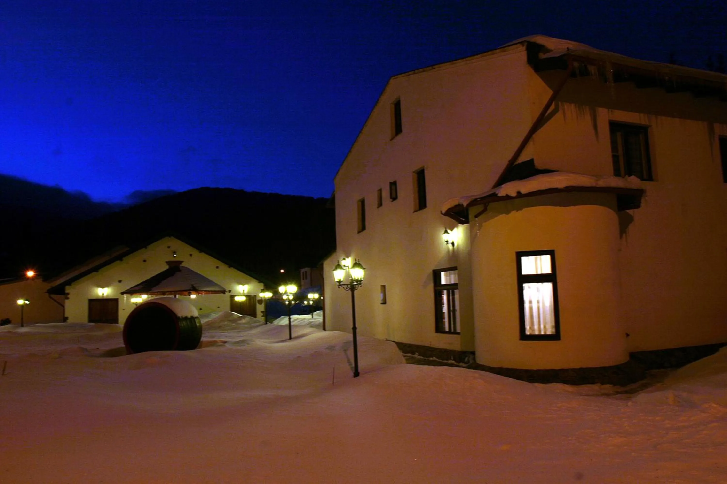 Winter in Pensiunea Rhein
