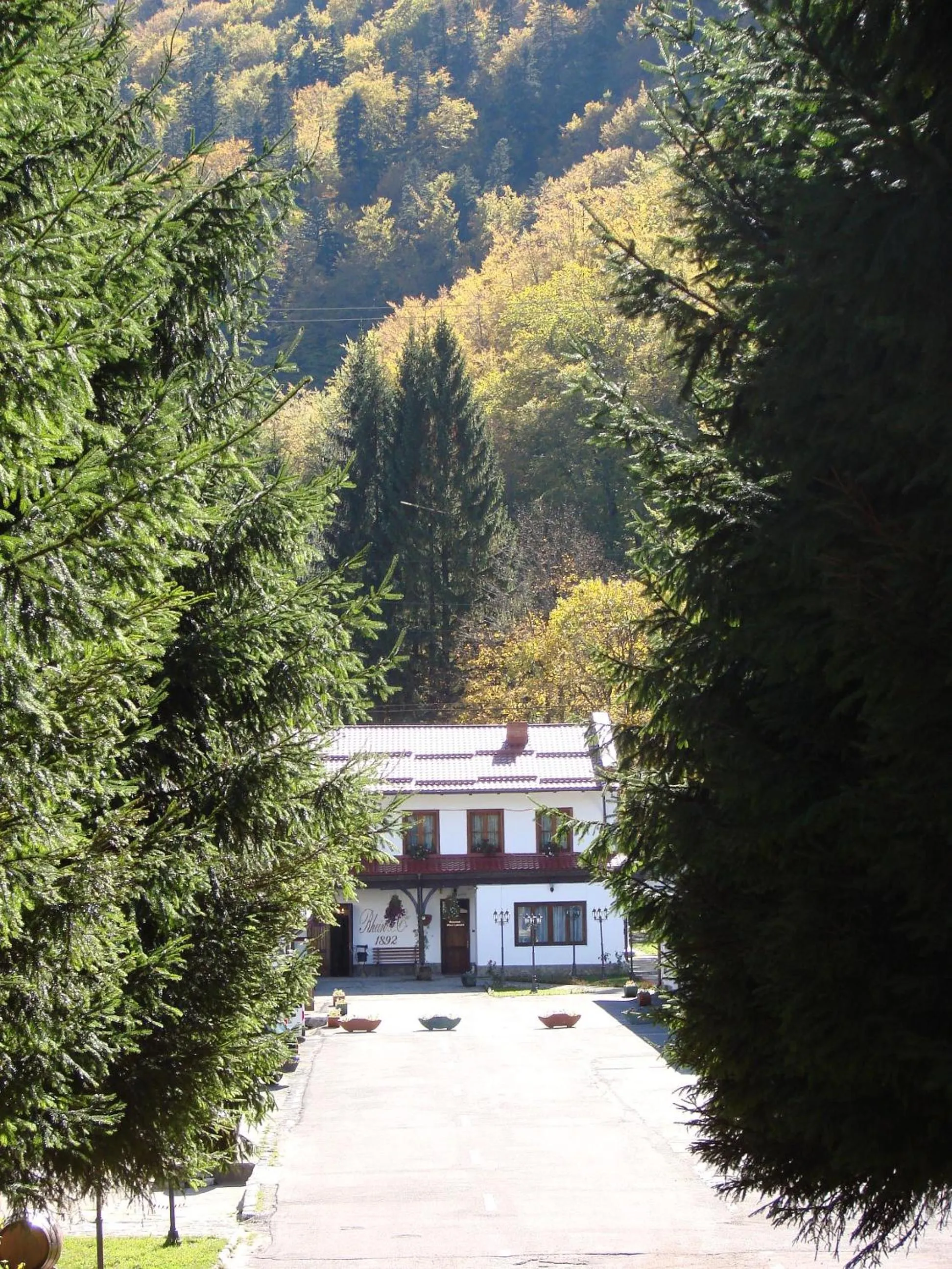 Property building in Pensiunea Rhein