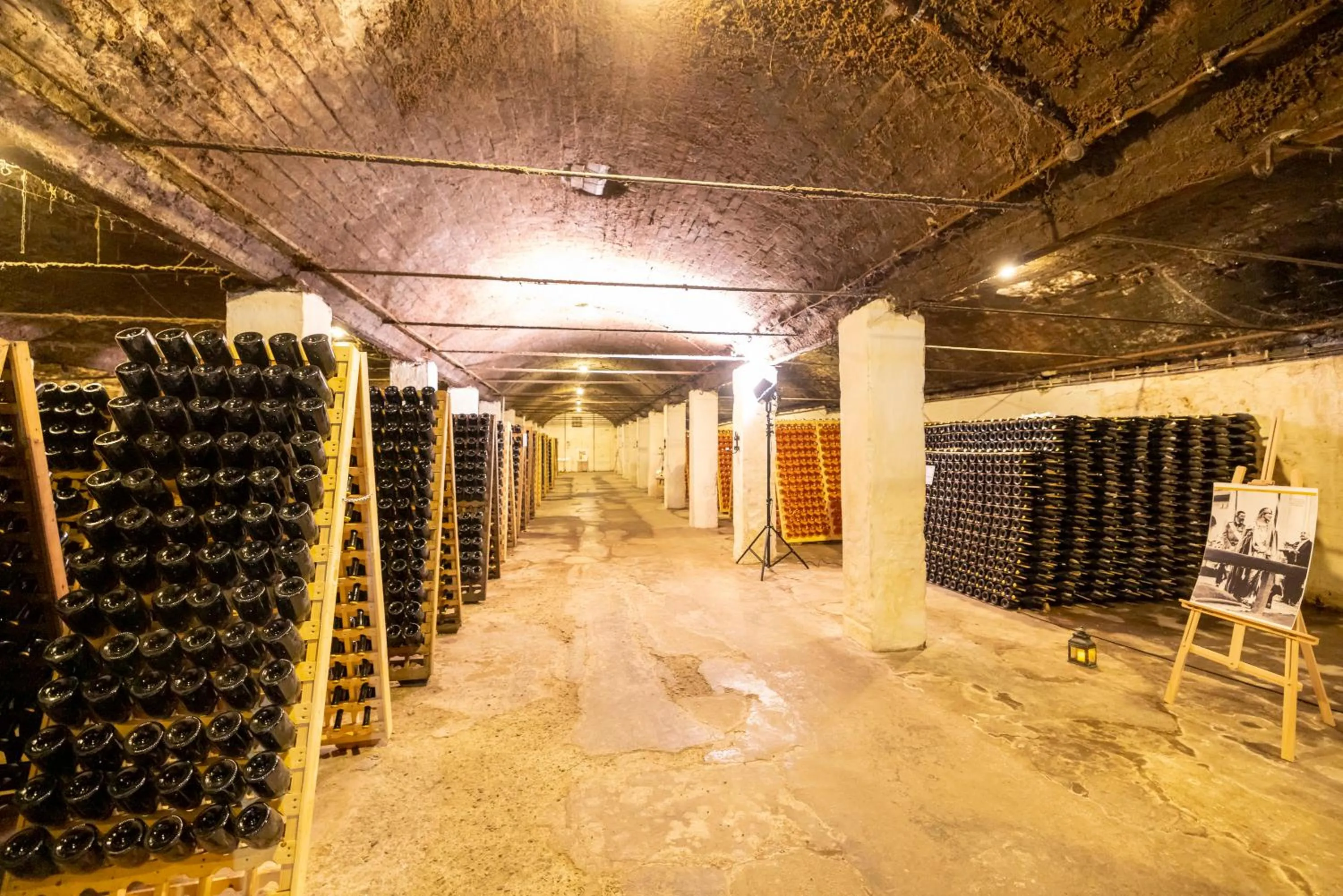 Property building in Pensiunea Rhein