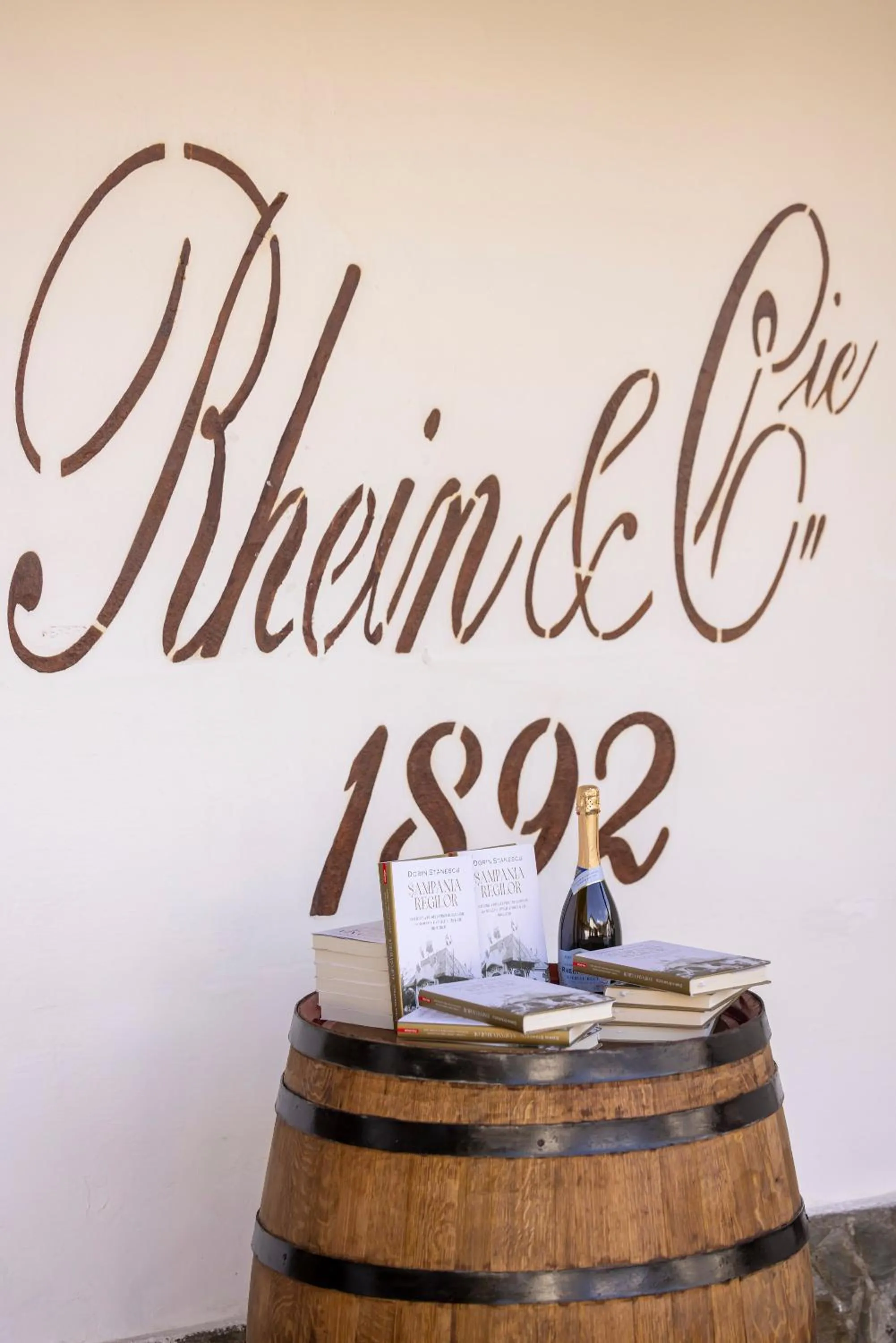 Property building in Pensiunea Rhein