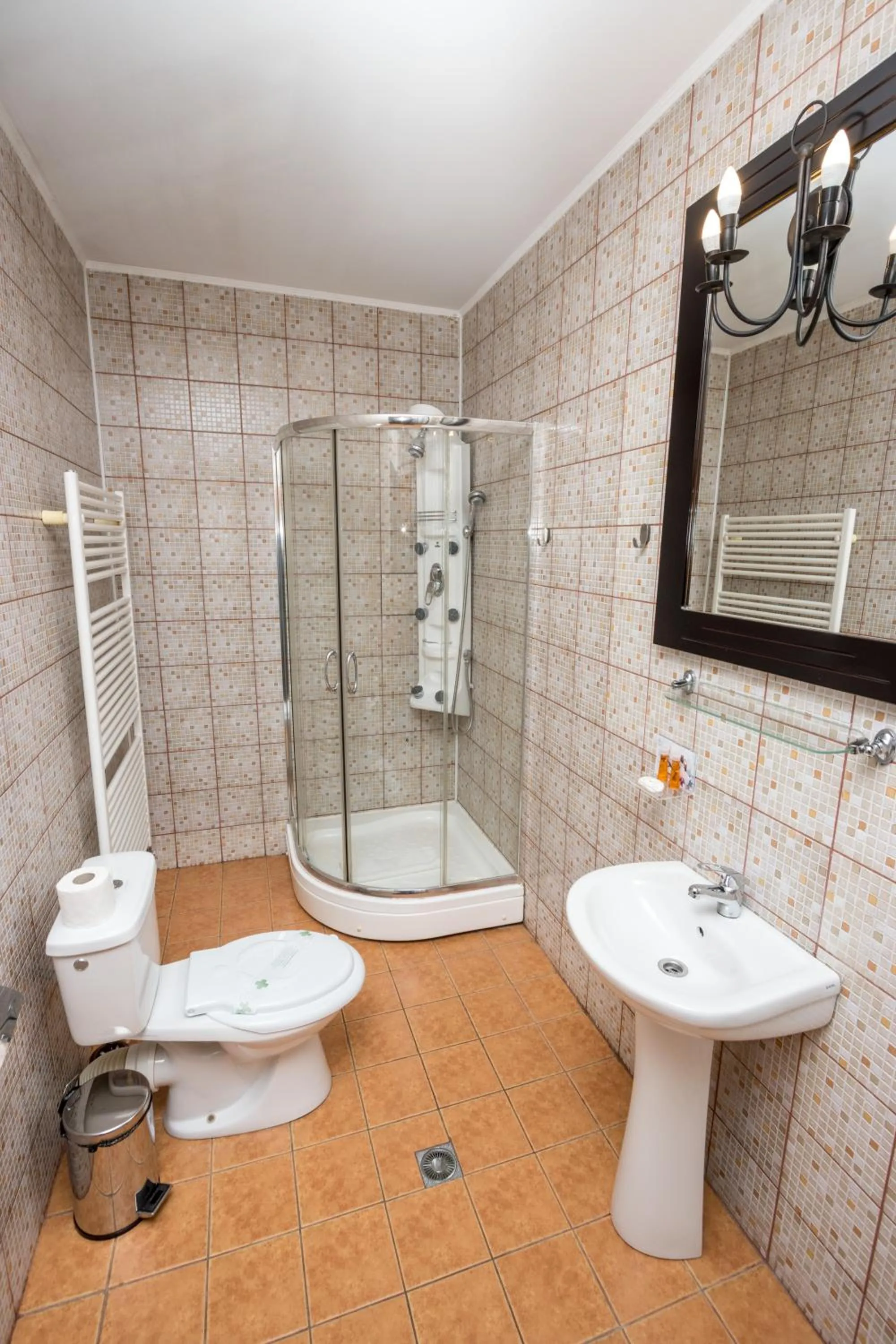 Bathroom in Pensiunea Rhein