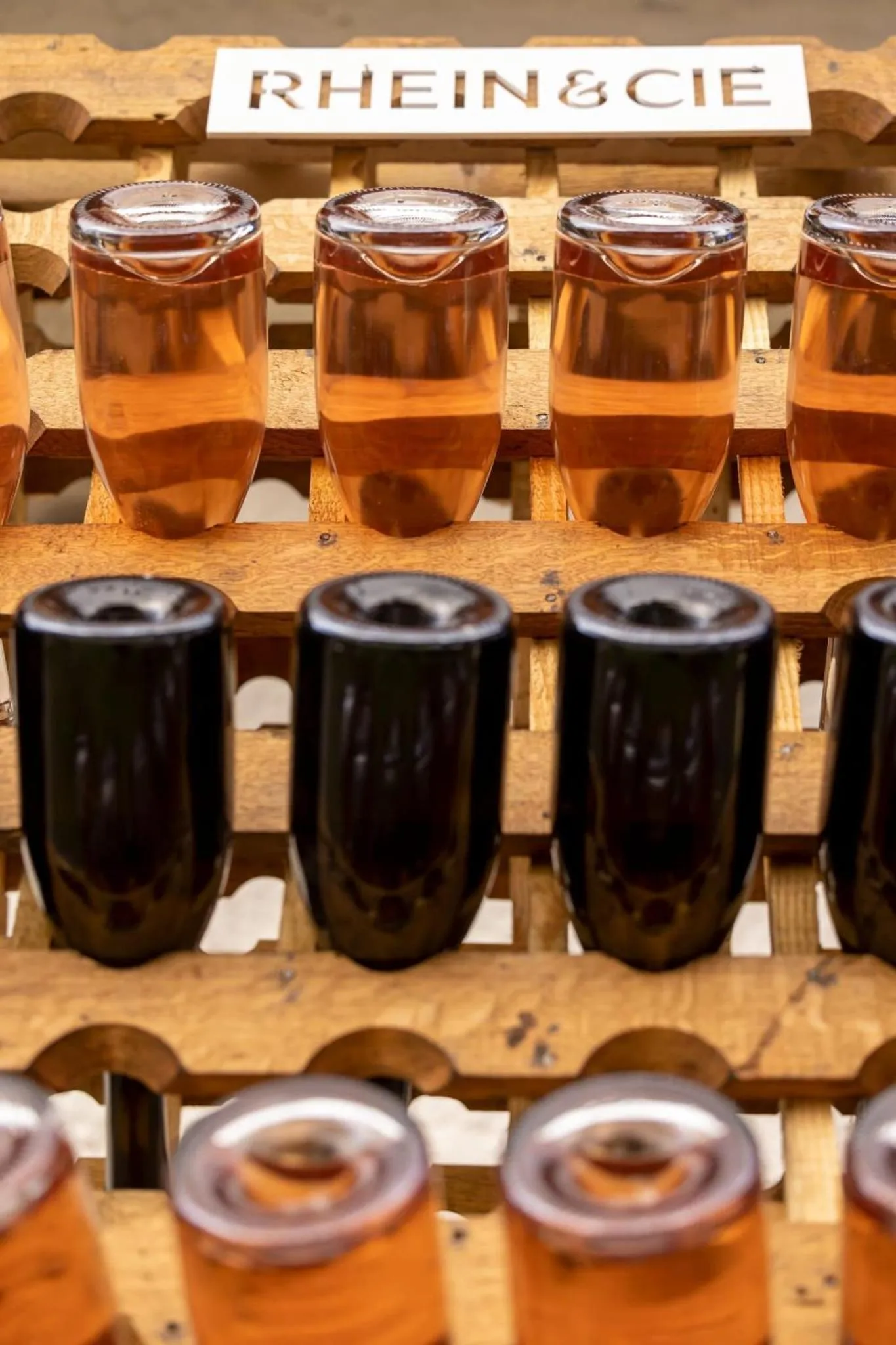 Property building in Pensiunea Rhein