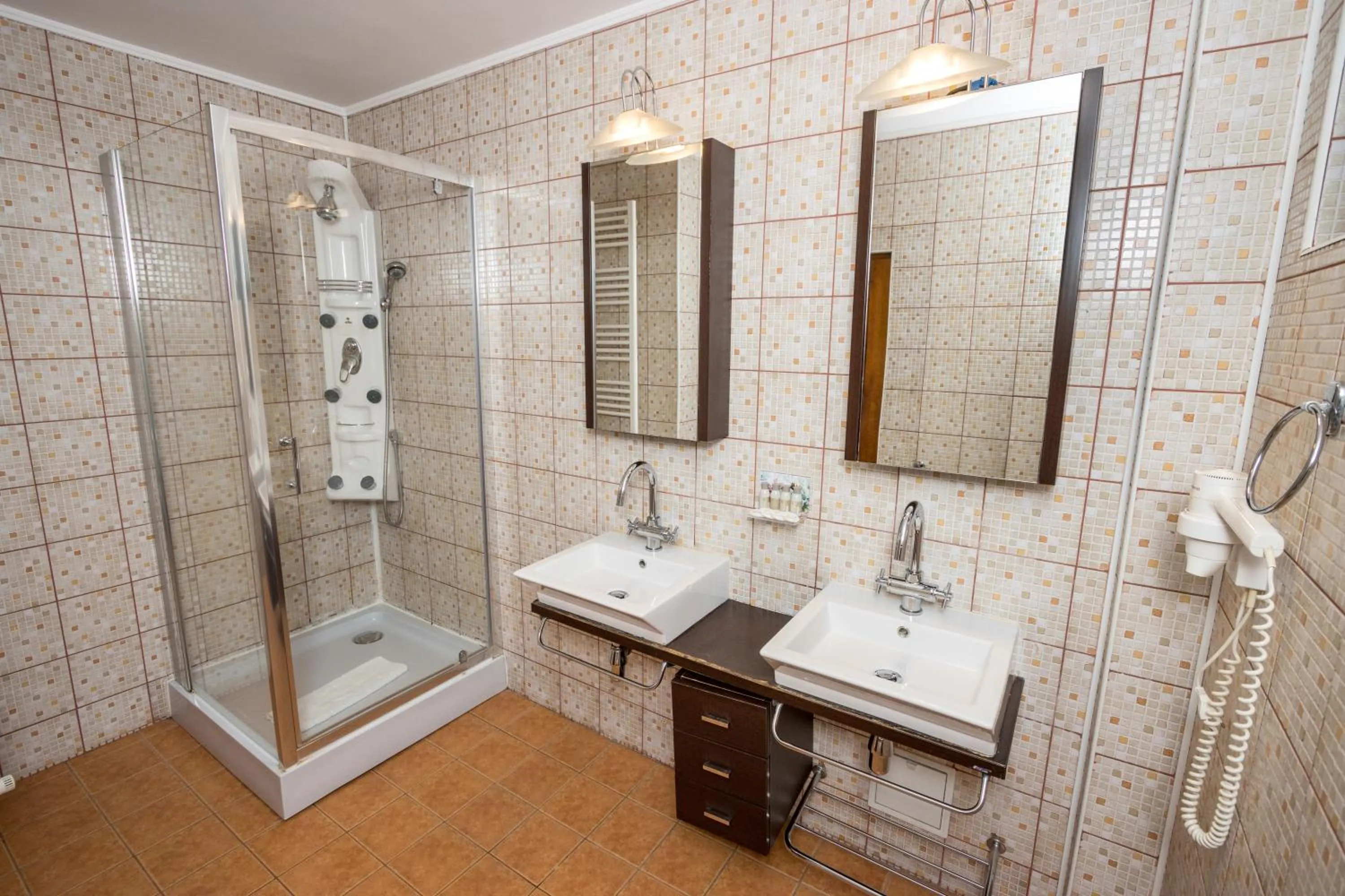 Bathroom in Pensiunea Rhein