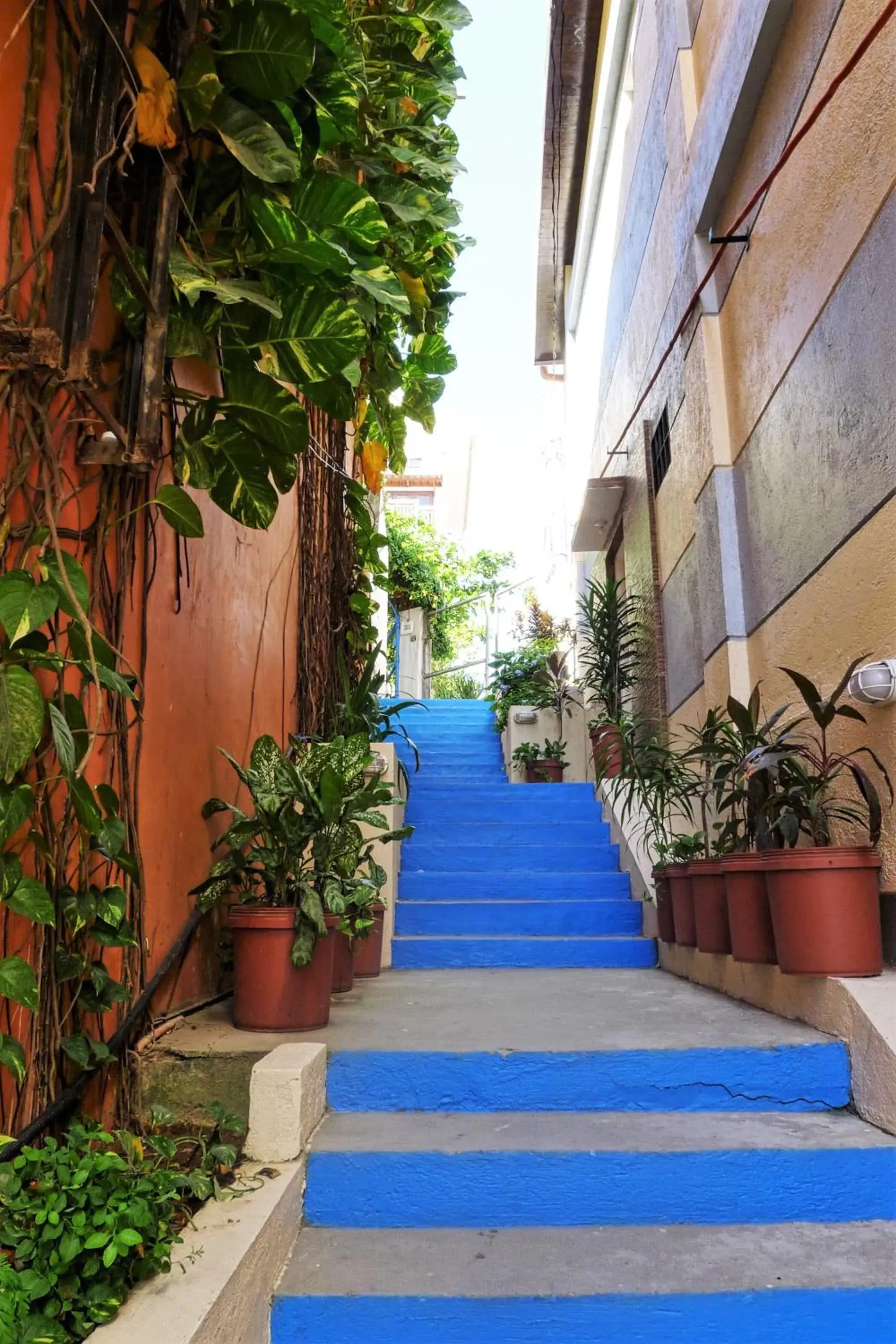 Facade/entrance in Agos Boracay Rooms + Beds Facade/entrance in Agos Boracay Rooms + Beds