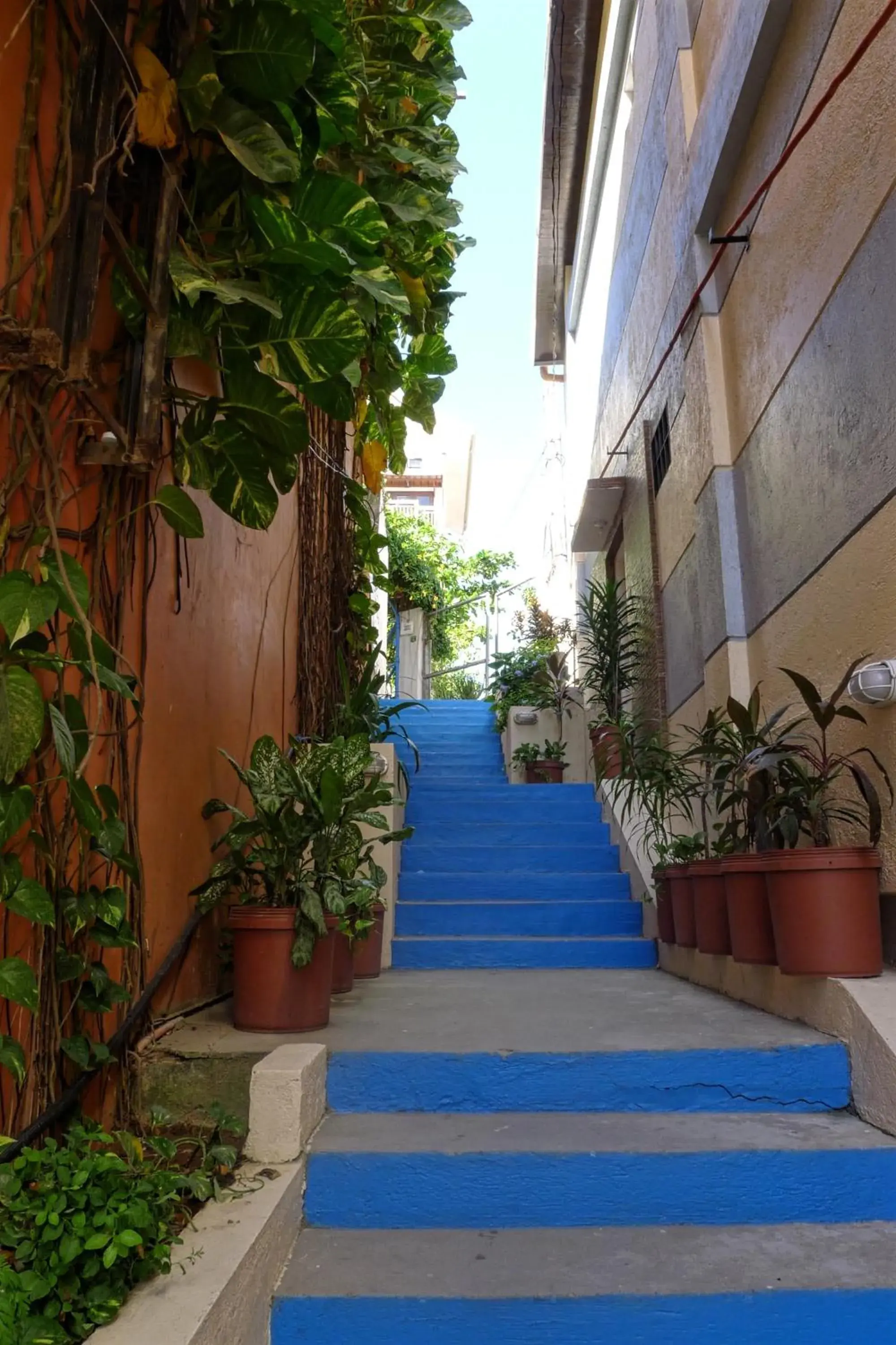 Property building in Agos Boracay Rooms + Beds Property building in Agos Boracay Rooms + Beds