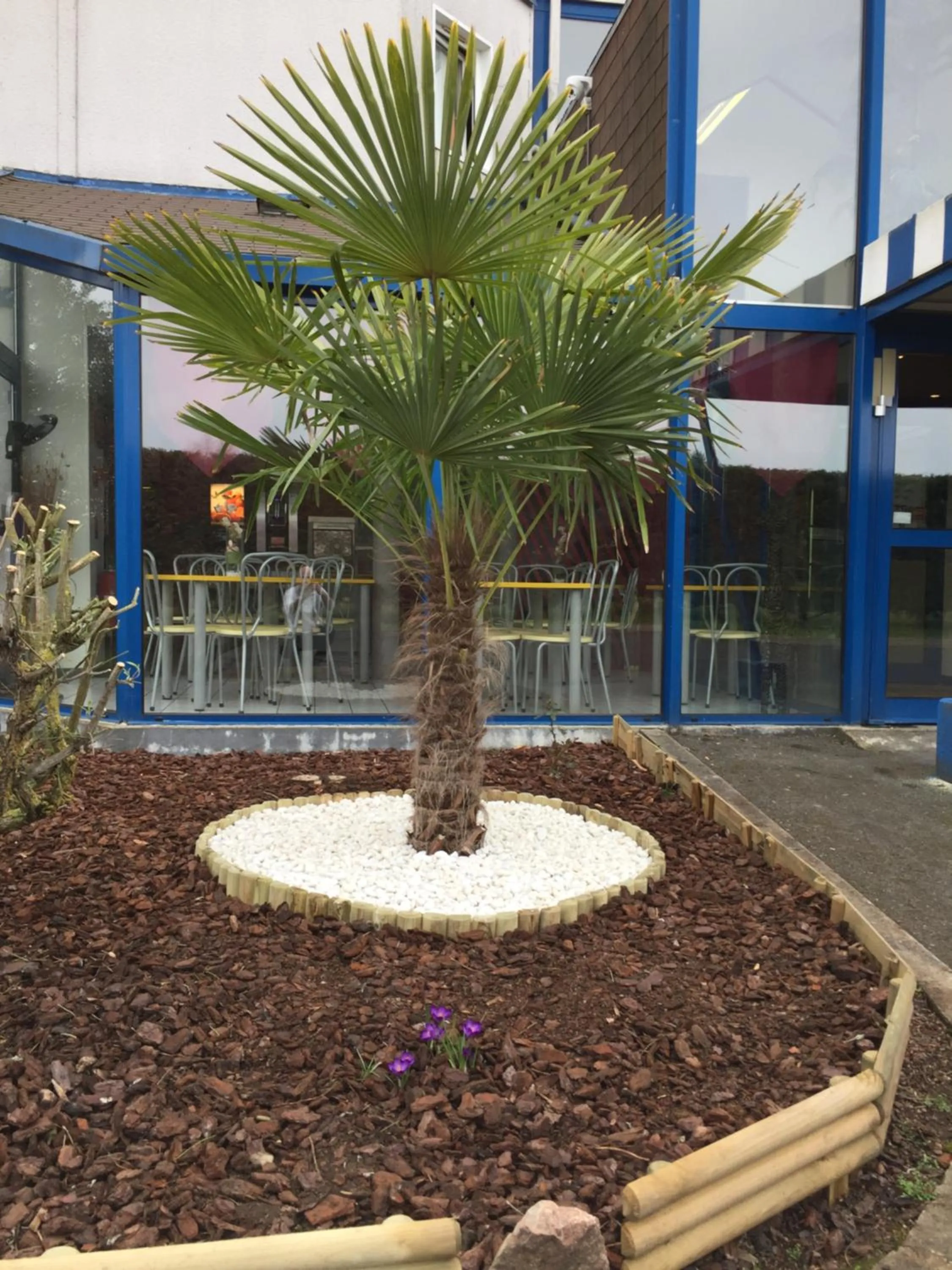 Garden in Europe Hôtel