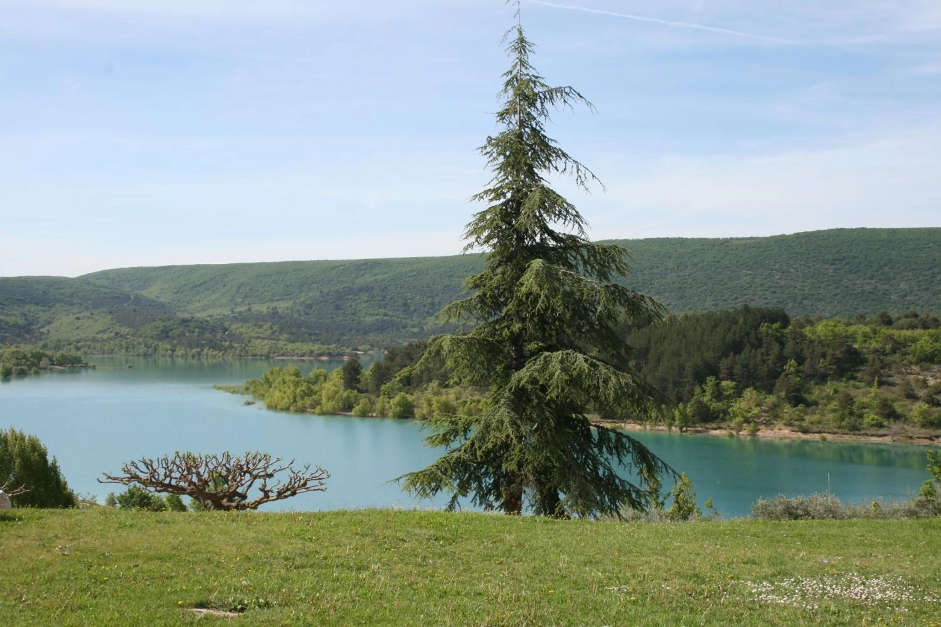 Garden in Auberge des Salles