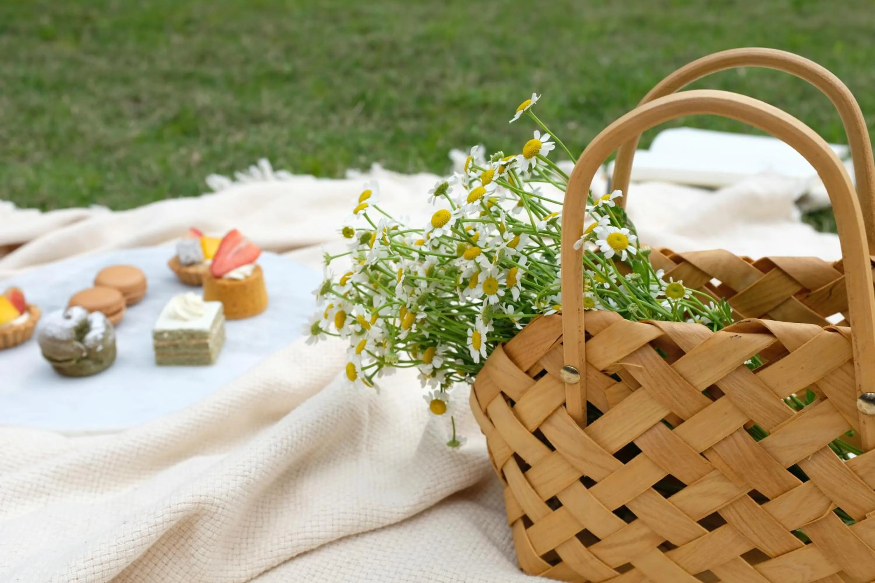 Garden in Ascott IFC Guangzhou - Free Shuttle Bus For Canton Fair