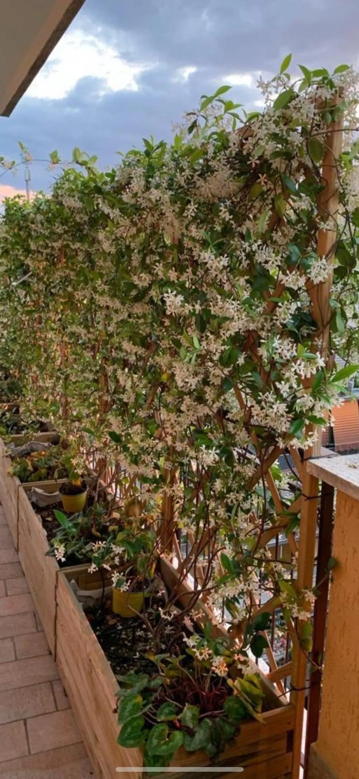 Balcony/Terrace in In Terrazza Da Giusy