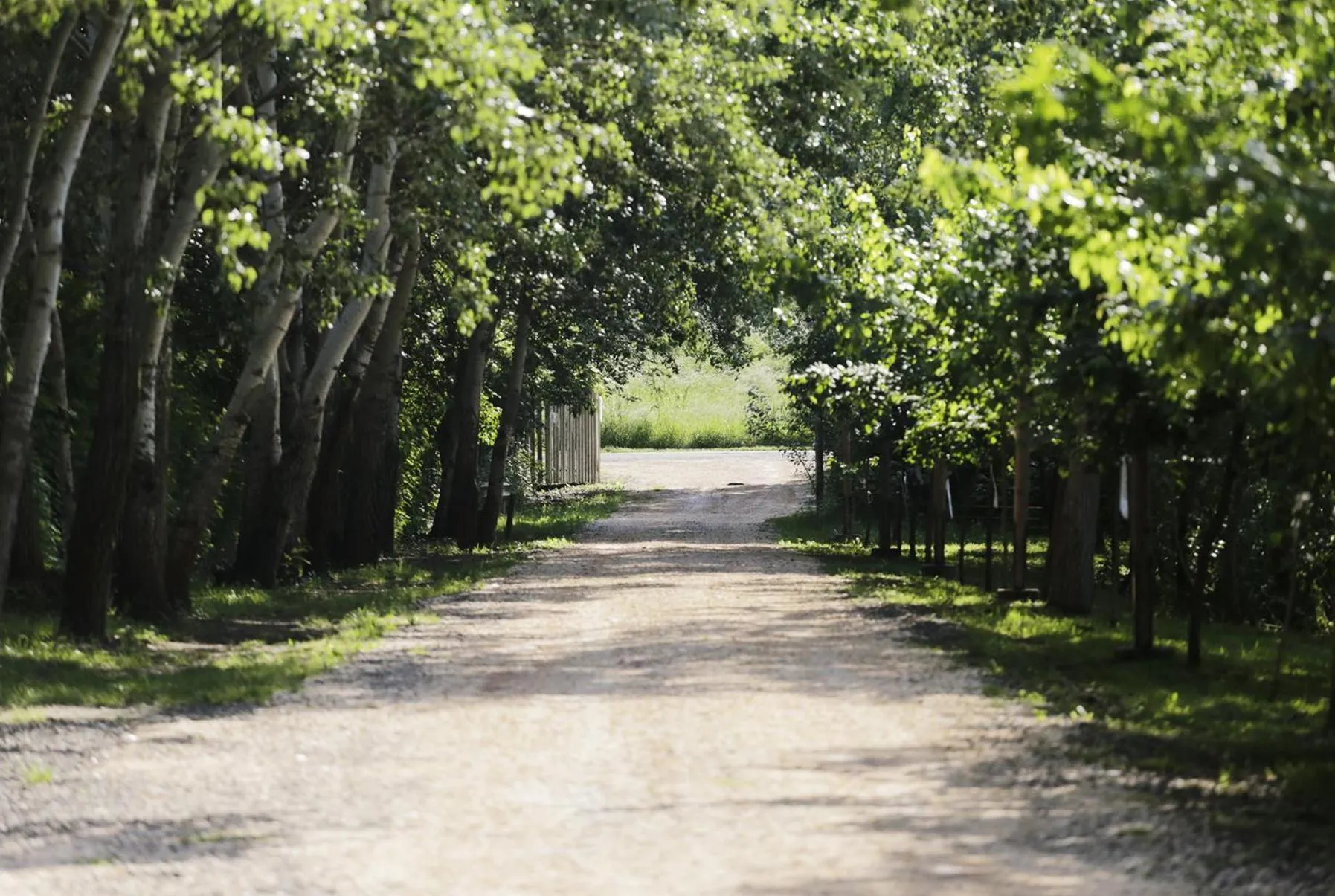 Antal-tavi Fogadó és Horgászparadicsom