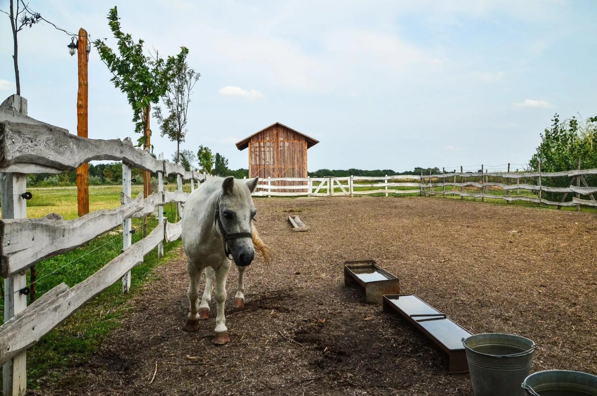 Antal-tavi Fogadó és Horgászparadicsom