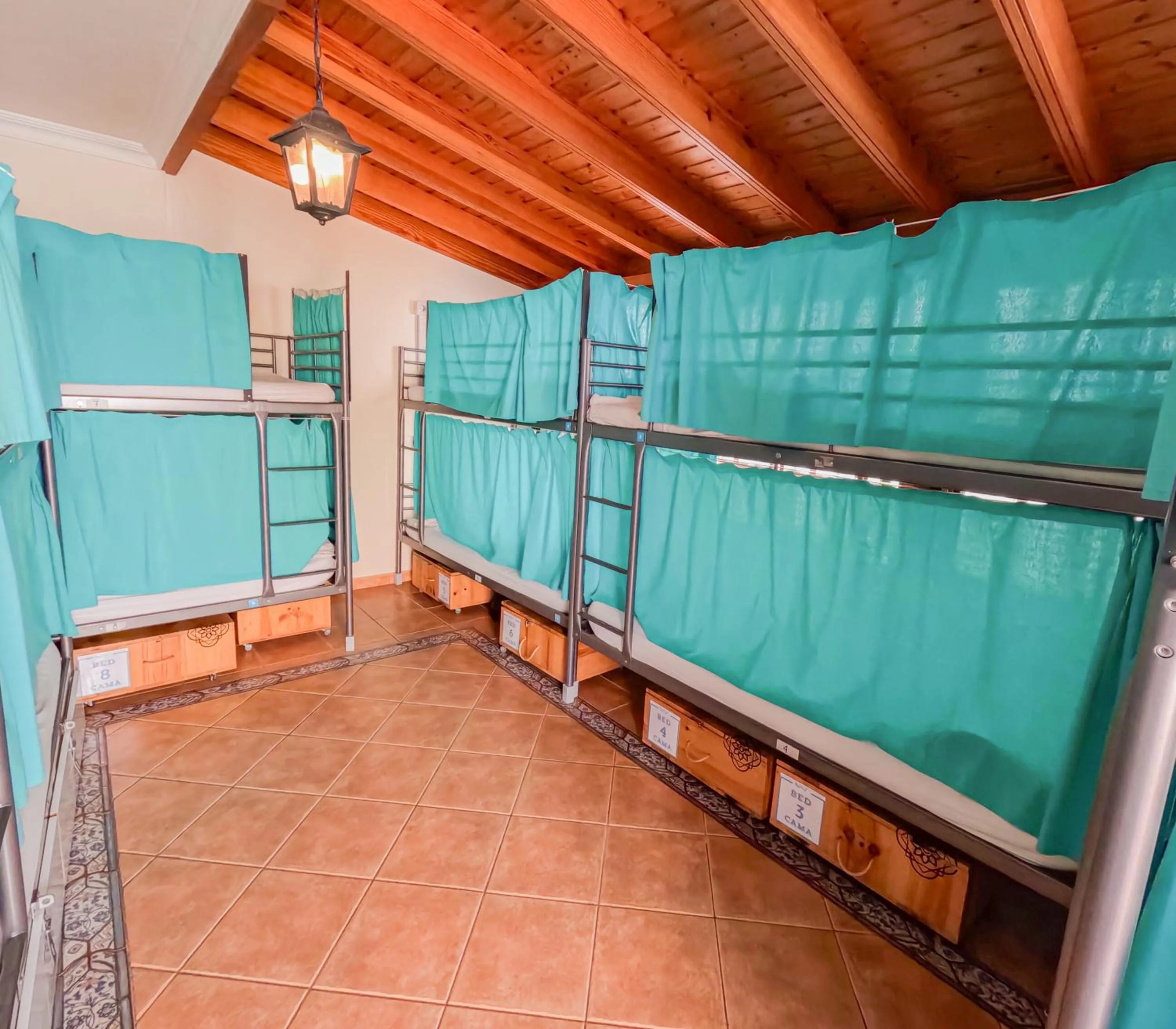 Photo of the whole room in Arena Nest Hostel