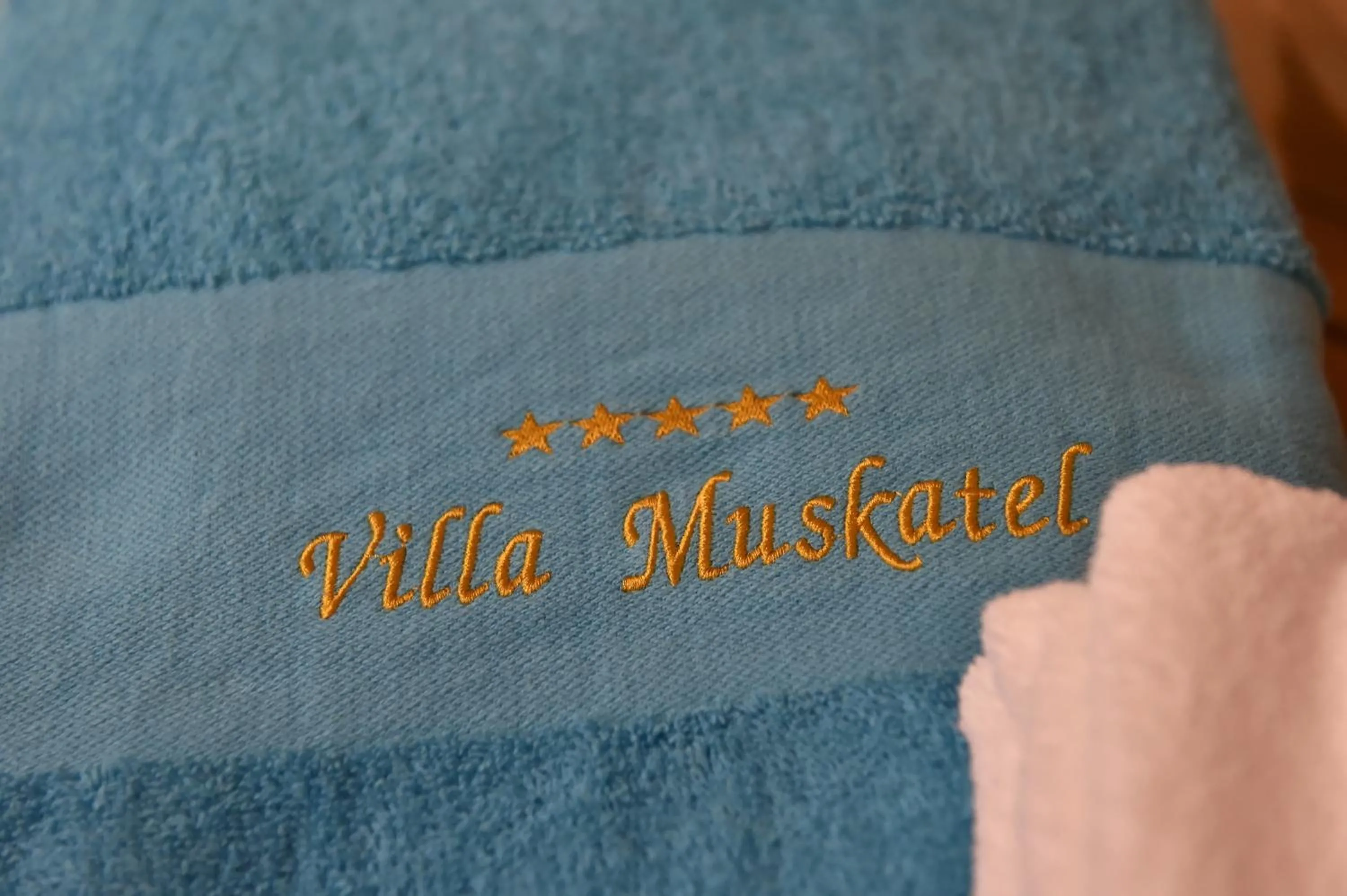 Property logo or sign in Villa Muskatel KRK -with heated covered pool