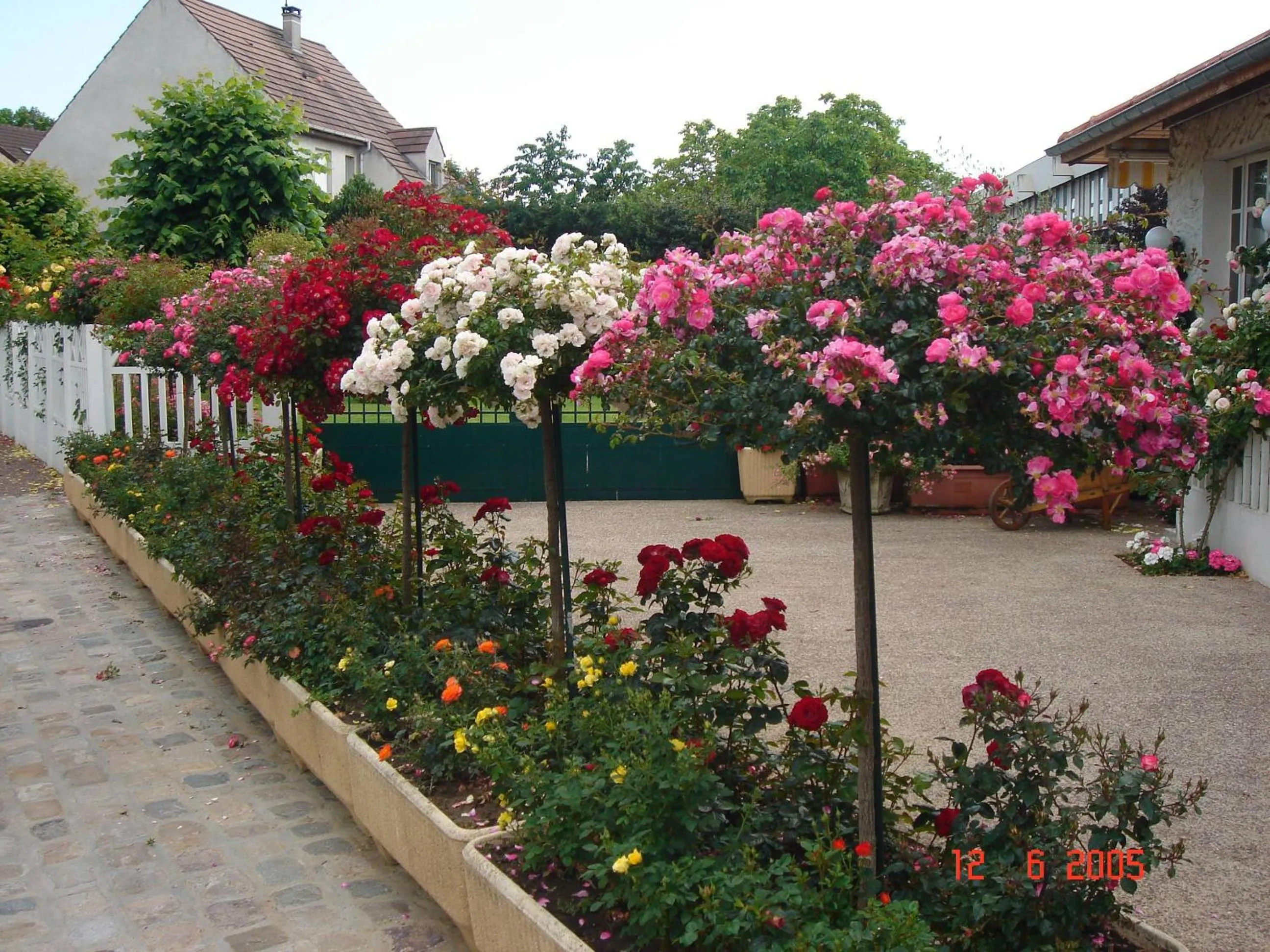 Garden in Hôtel Restaurant Maison Blanche