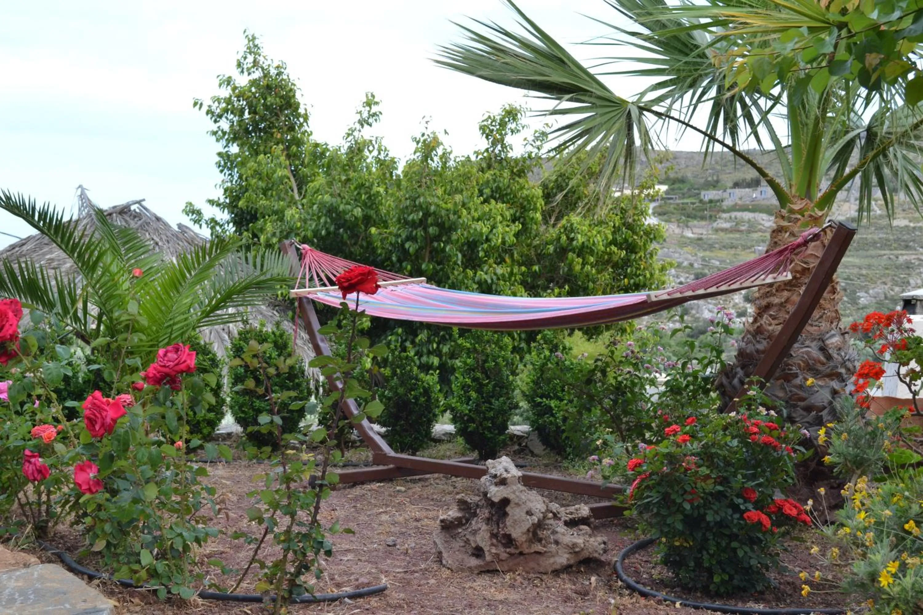 Garden in Katerina Apartments