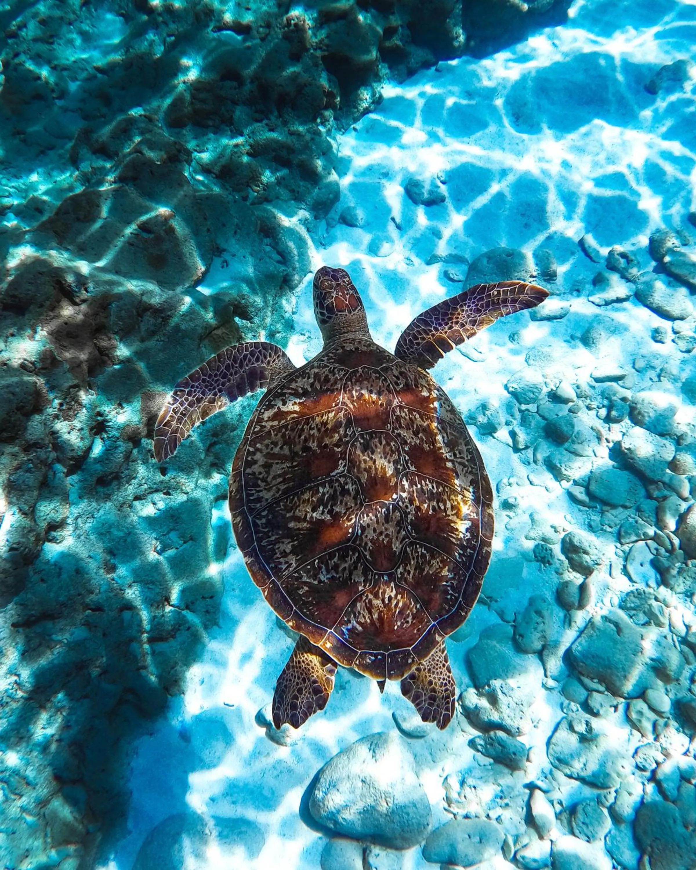 MARINX CLASSIC HARBORVIEW PENSION