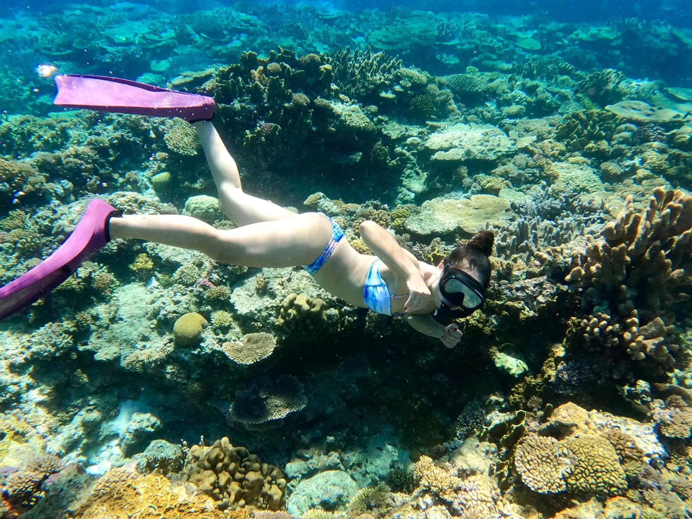 MARINX CLASSIC HARBORVIEW PENSION