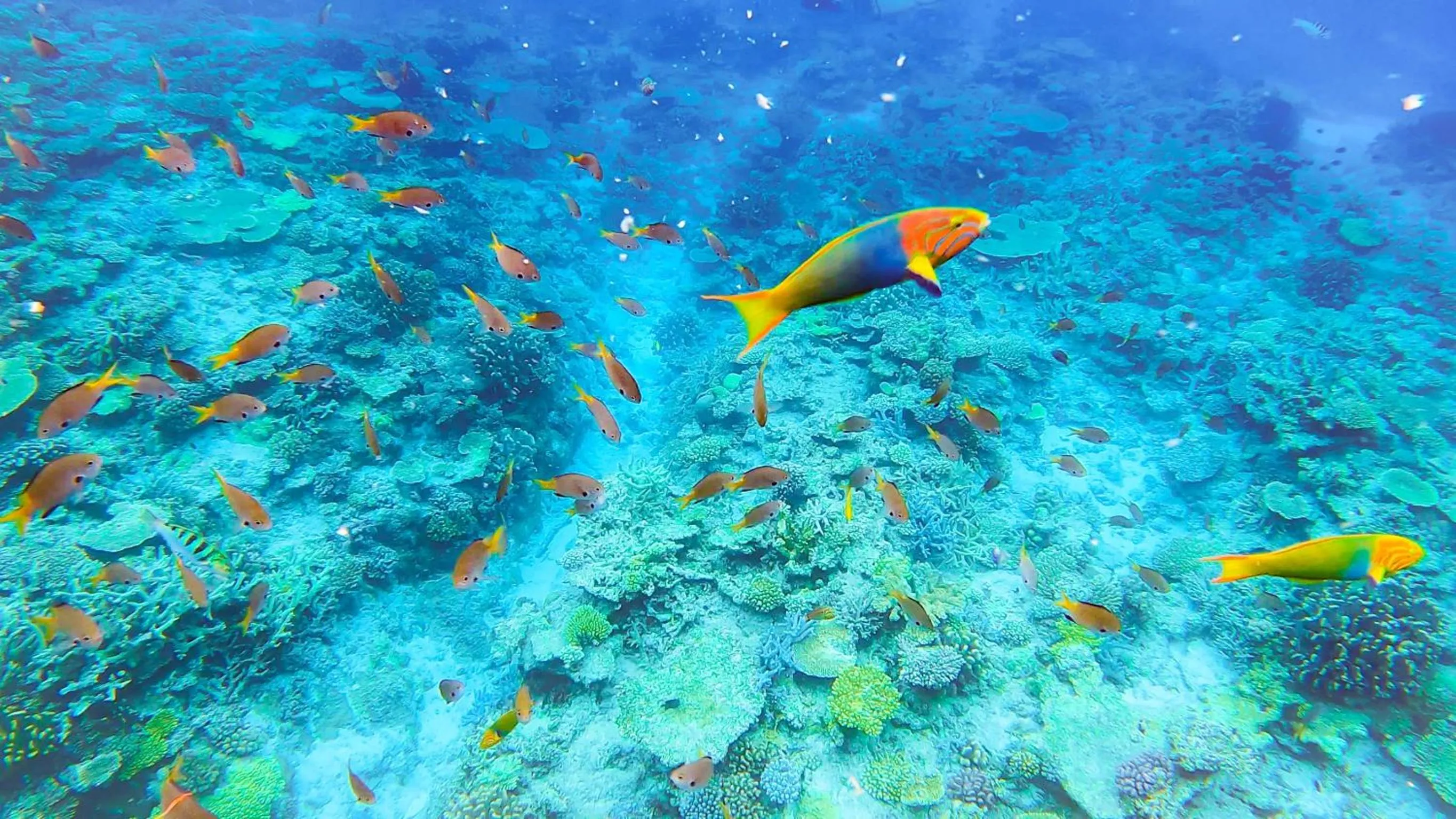 MARINX CLASSIC HARBORVIEW PENSION