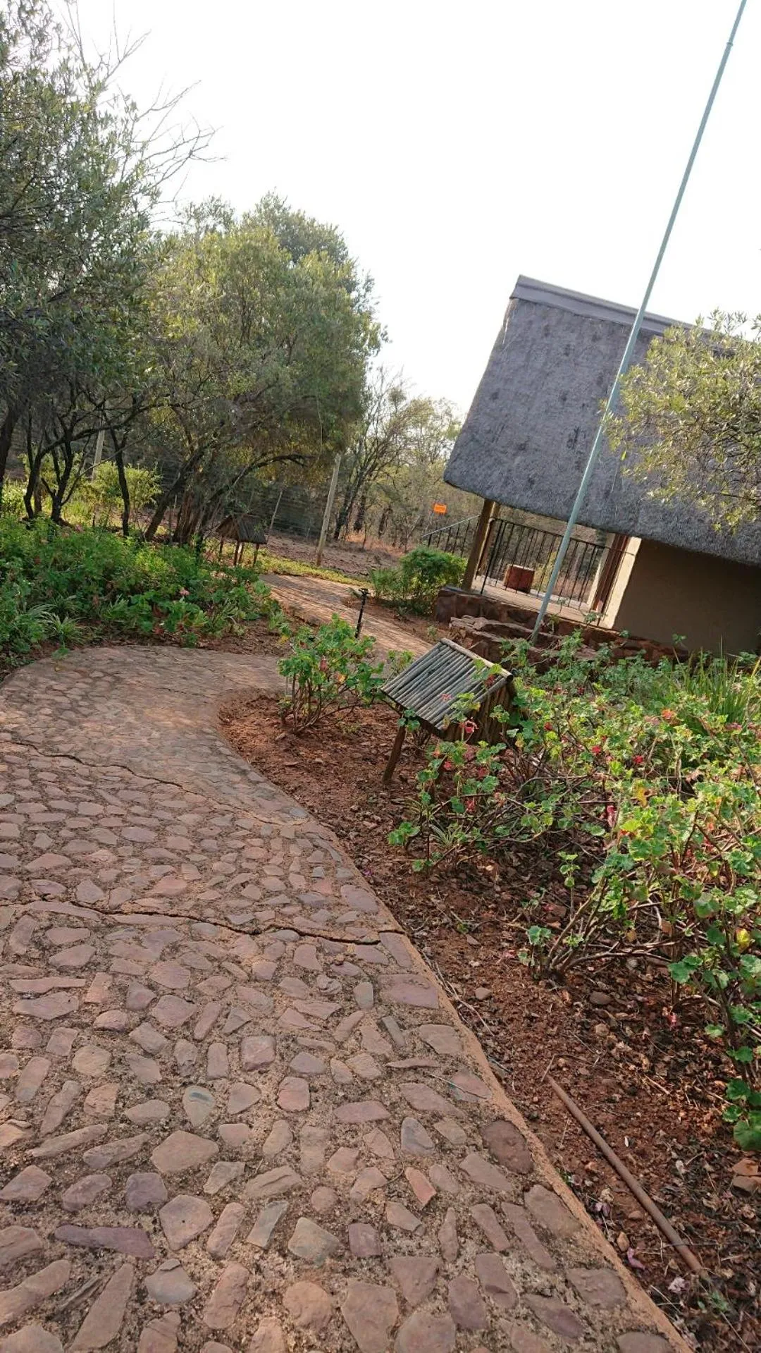 Garden in Tidimalo Lodge