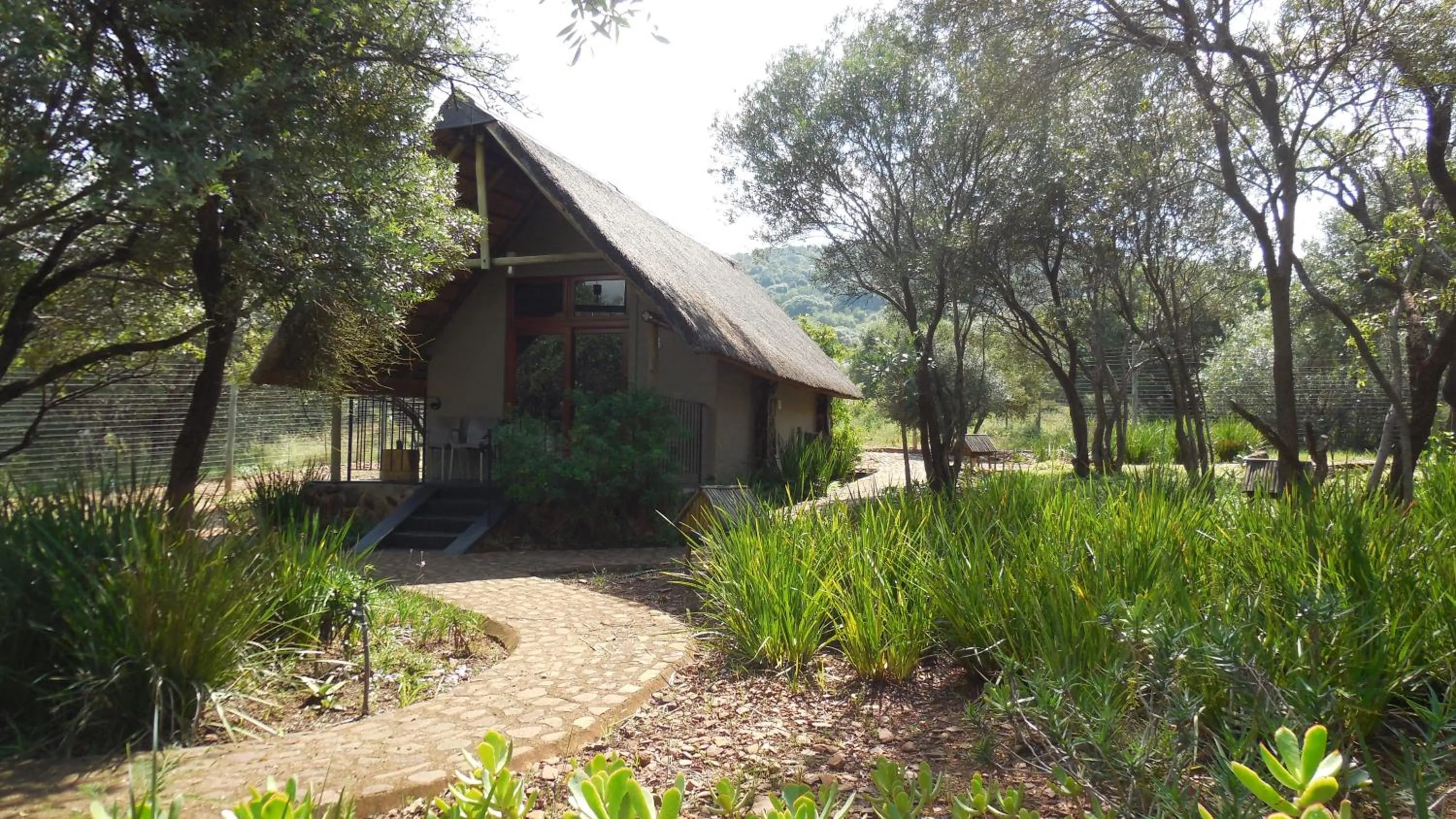 Garden in Tidimalo Lodge