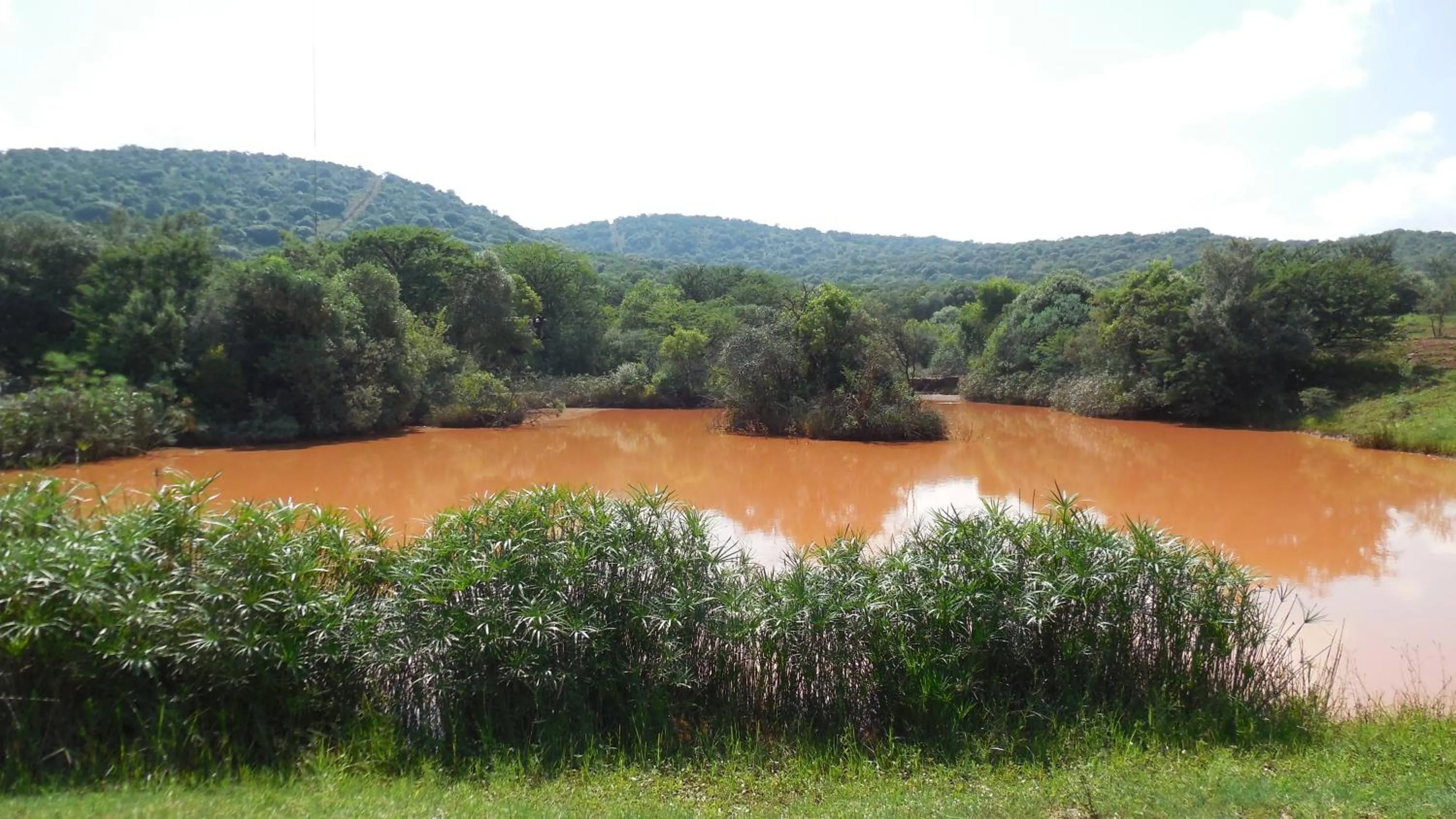 Natural landscape in Tidimalo Lodge