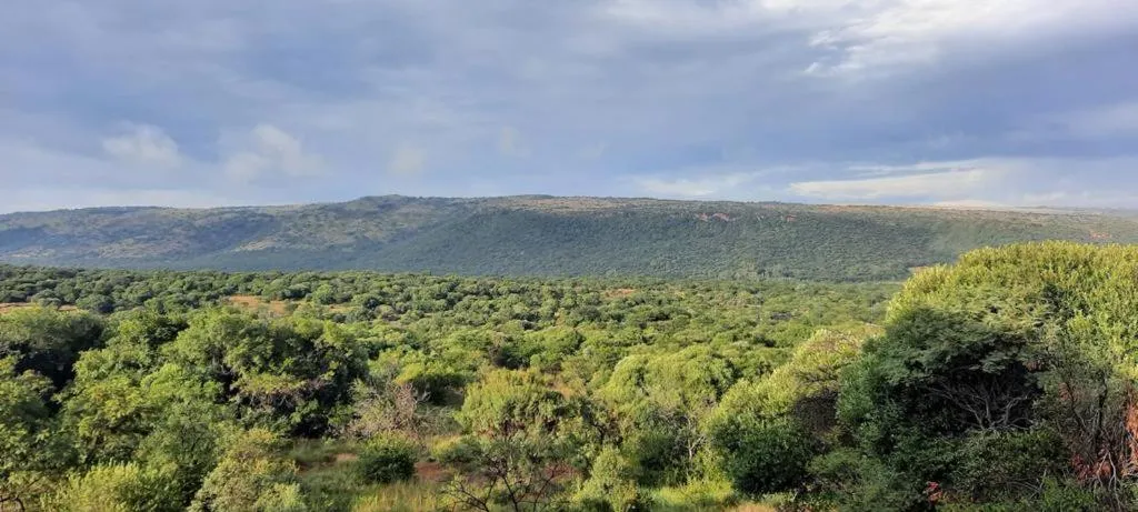 Natural landscape in Tidimalo Lodge