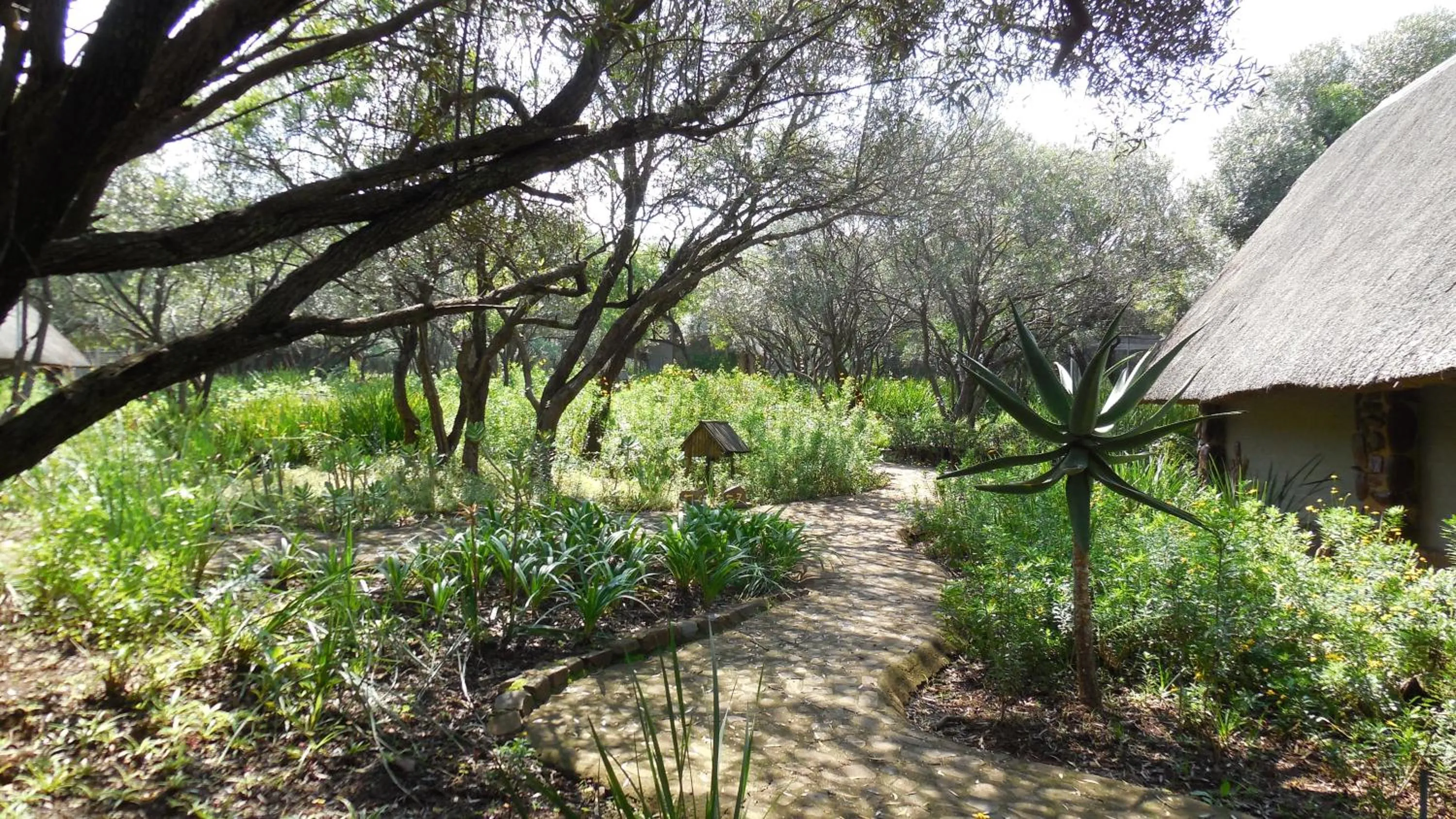 Day in Tidimalo Lodge