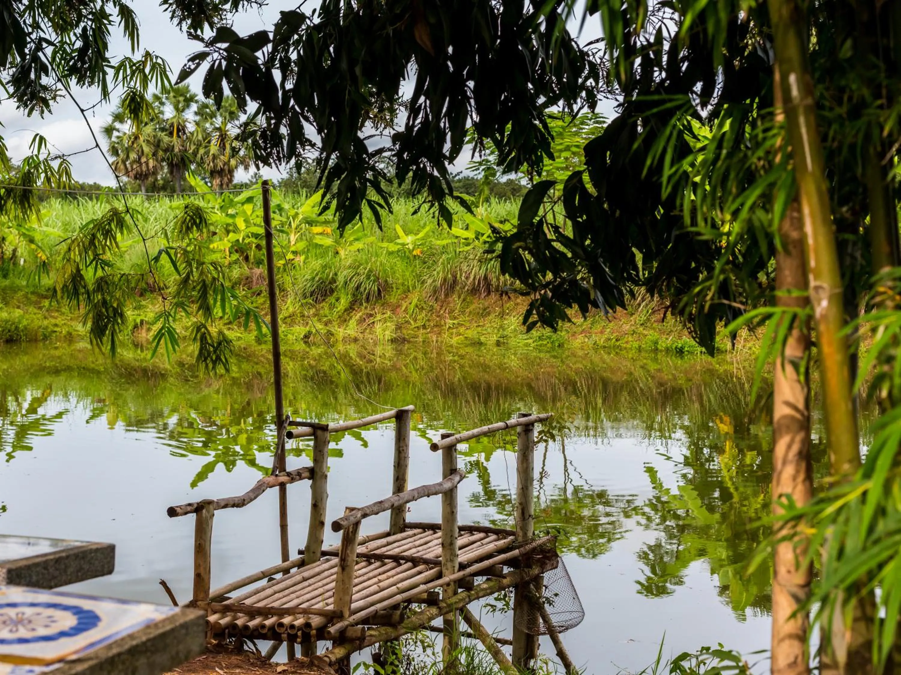 Natural landscape in Pimali Resort & Training Centre