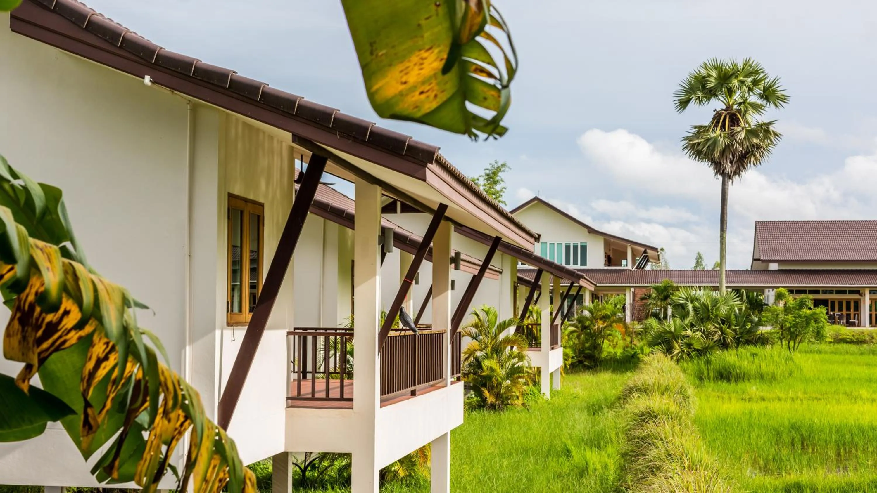 Property building in Pimali Resort & Training Centre