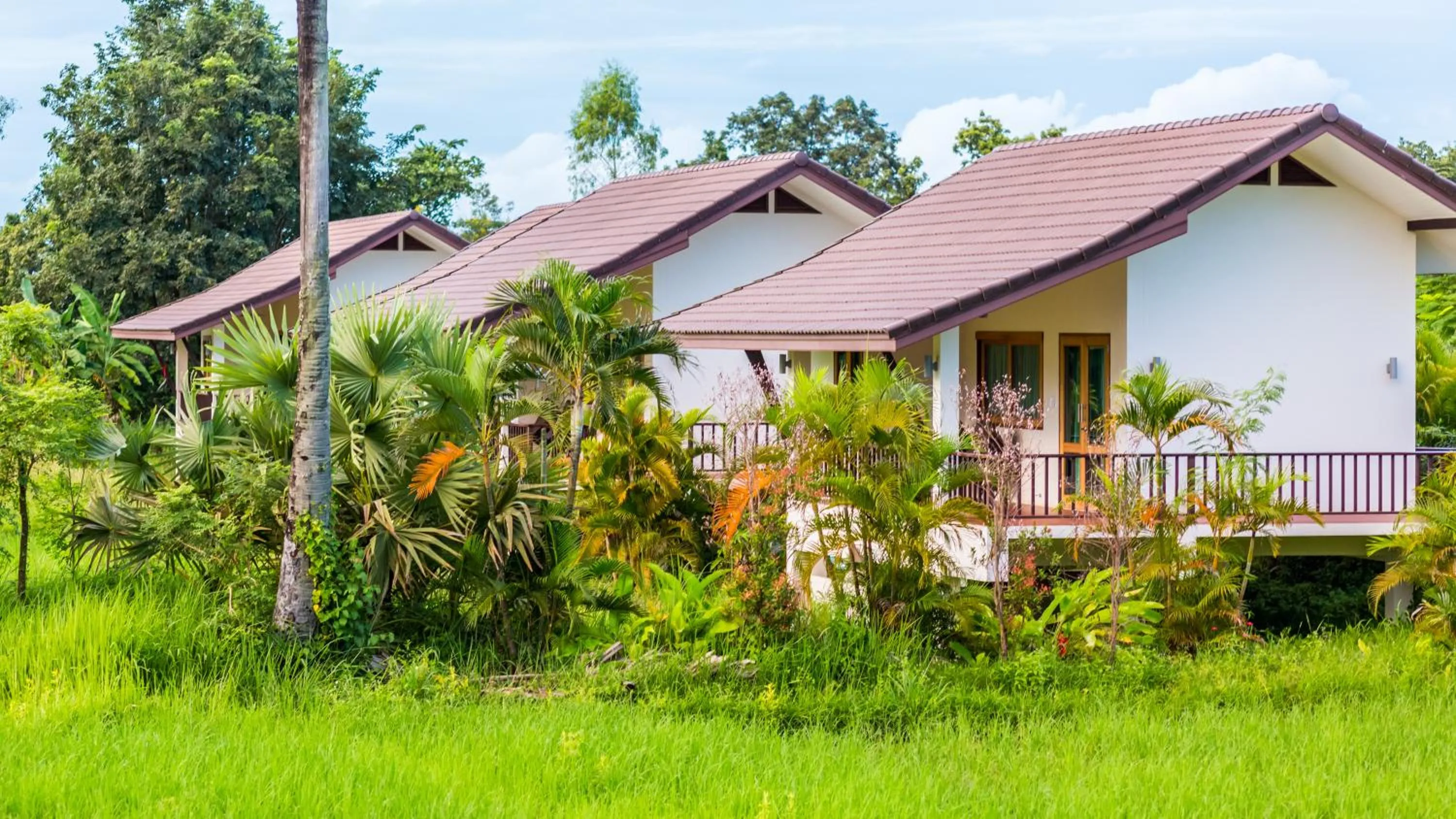 Garden view in Pimali Resort & Training Centre