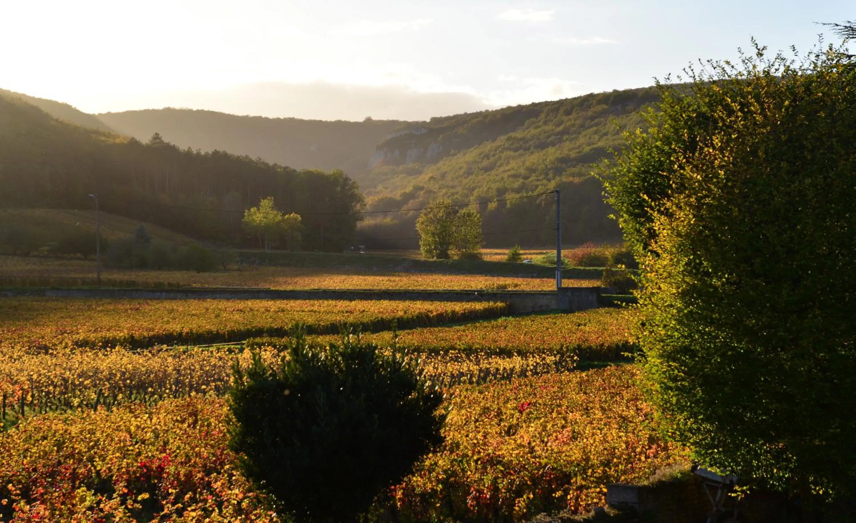 Natural landscape in Hôtel Les Deux Chèvres Gevrey-Chambertin