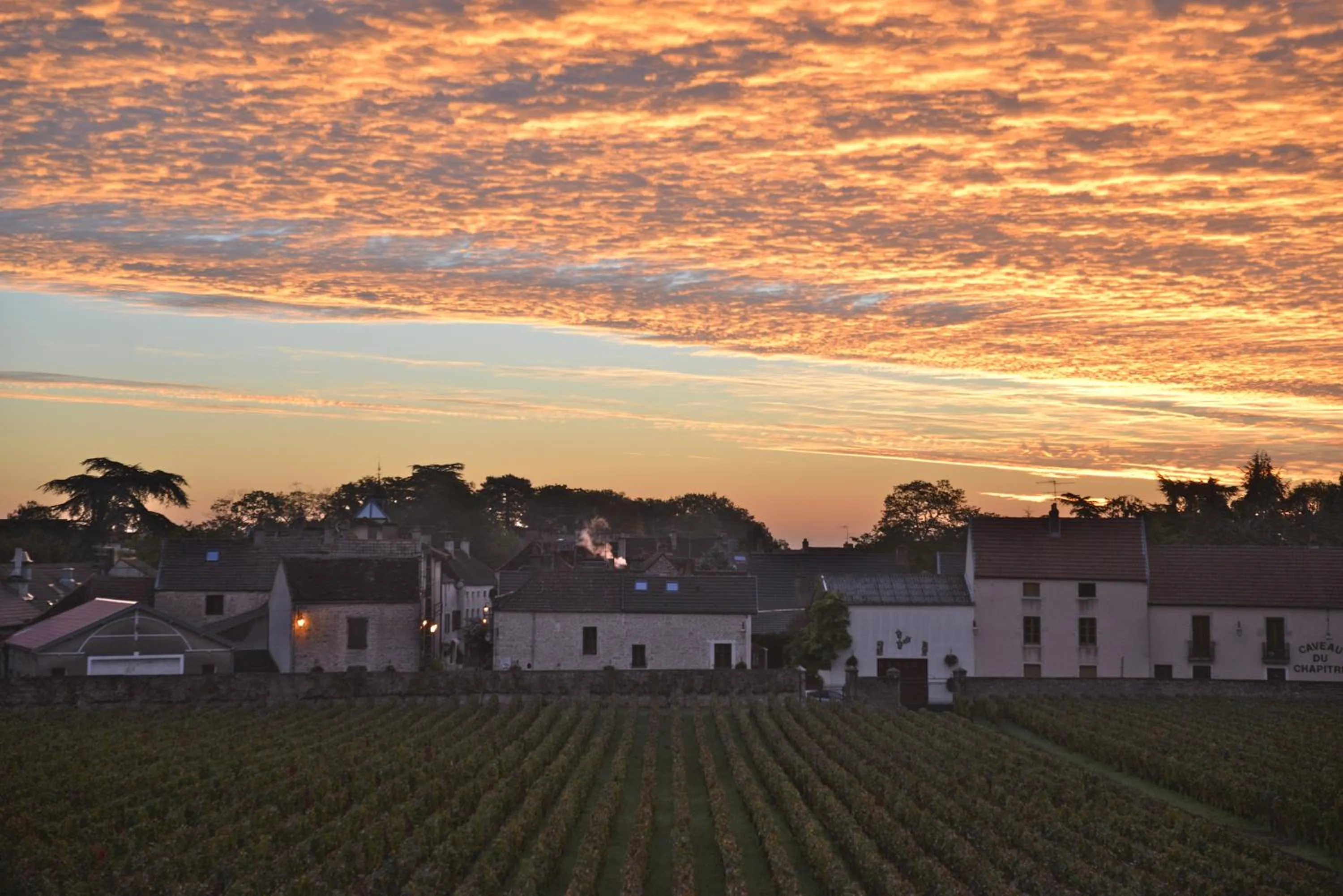 Natural landscape in Hôtel Les Deux Chèvres Gevrey-Chambertin