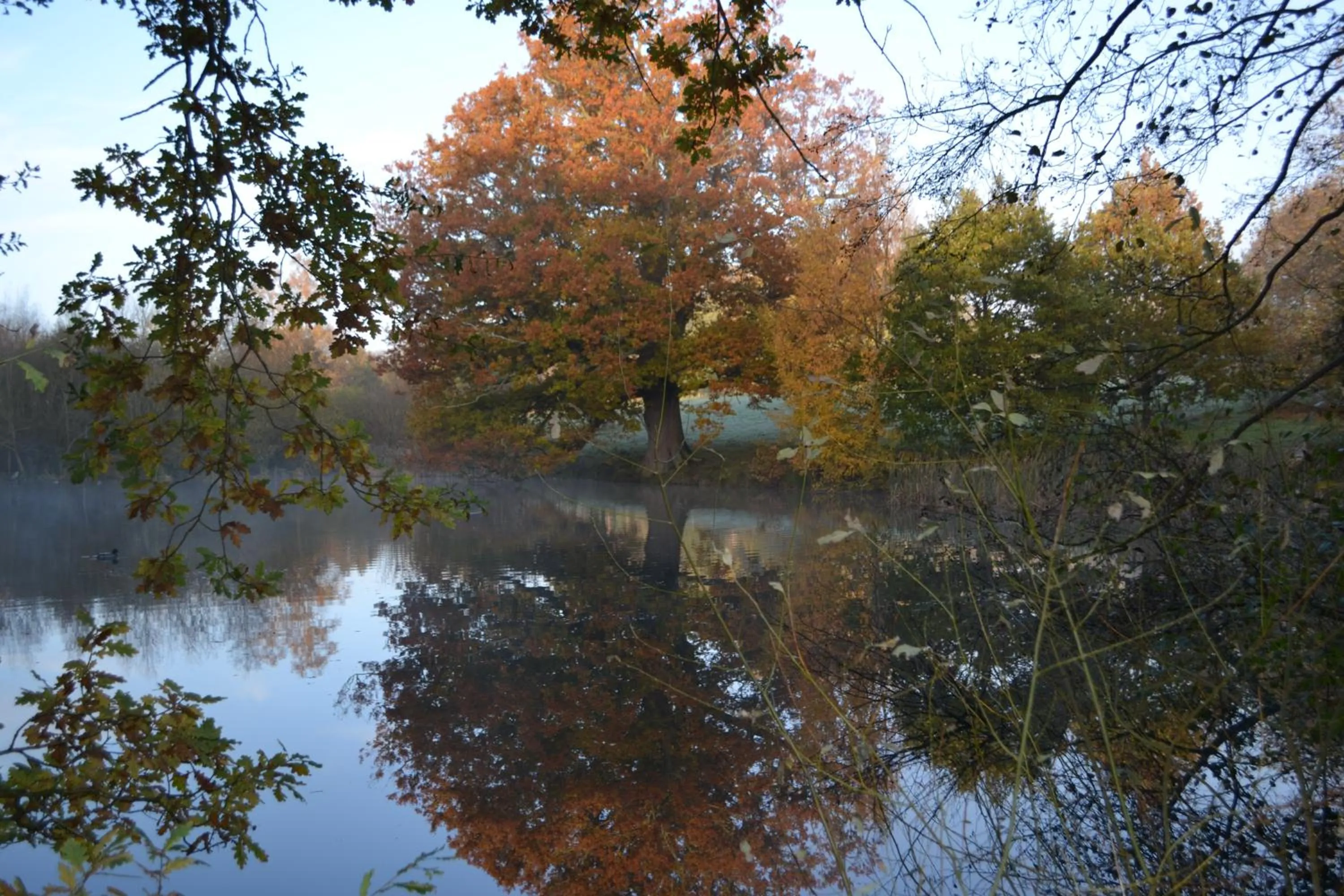 Natural landscape in Sissinghurst Castle Farmhouse