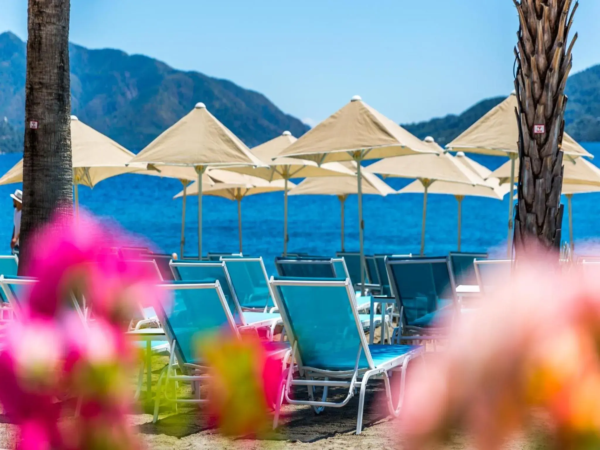 Facade/entrance in Kahveci Alibey Hotel Facade/entrance in Kahveci Alibey Hotel