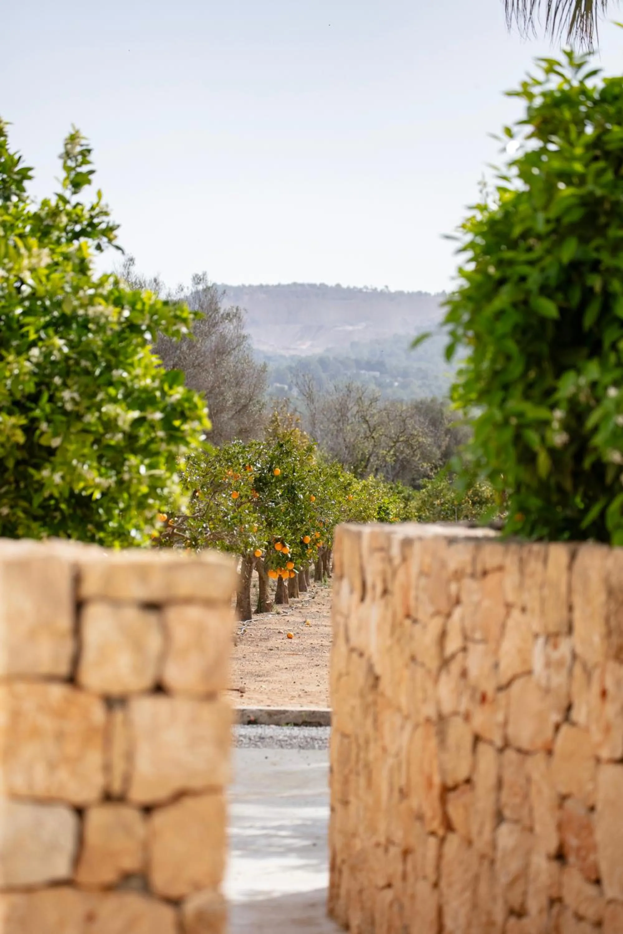 Off site in Can Jaume Private Villas by Ocean Drive