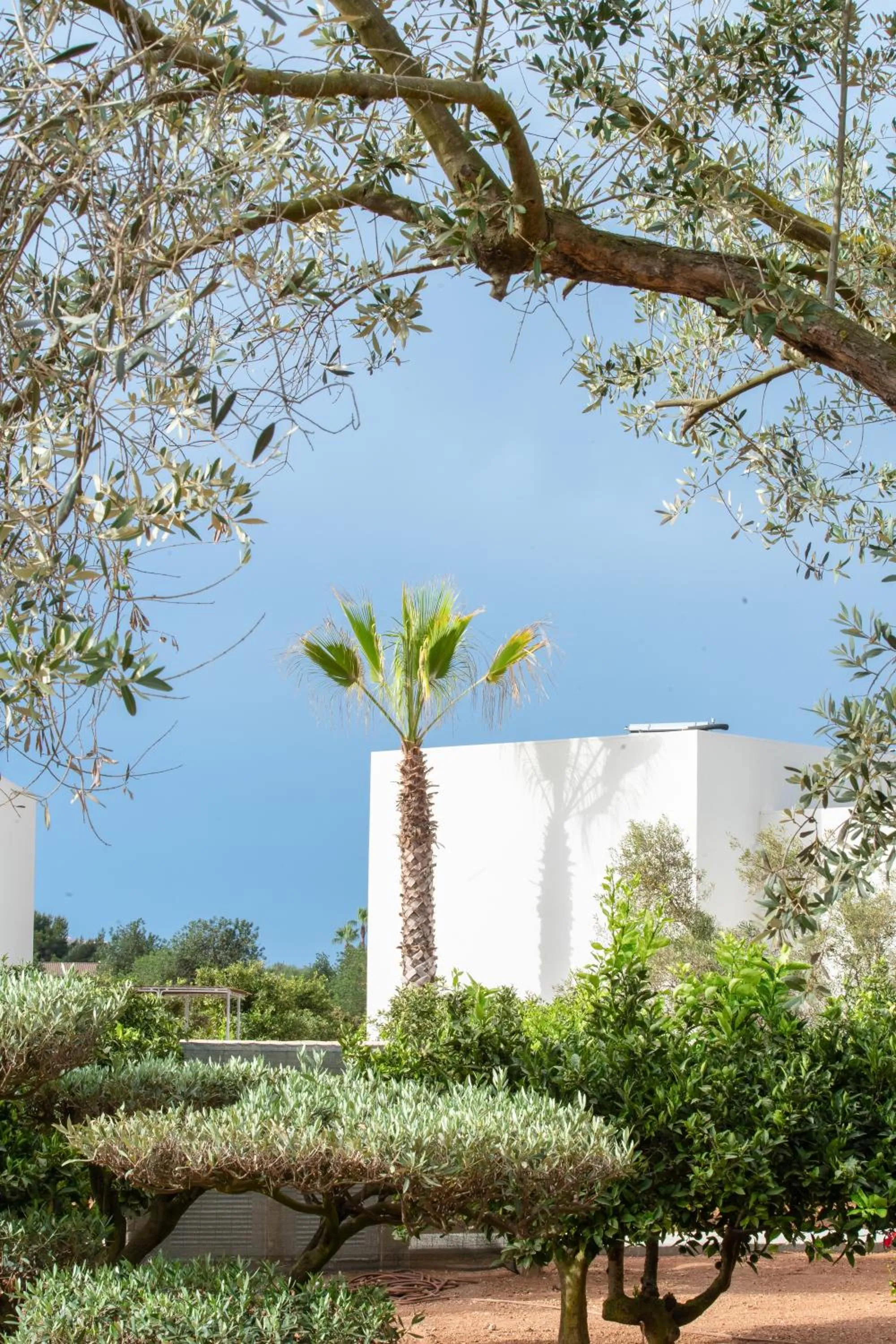Property building in Can Jaume Private Villas by Ocean Drive