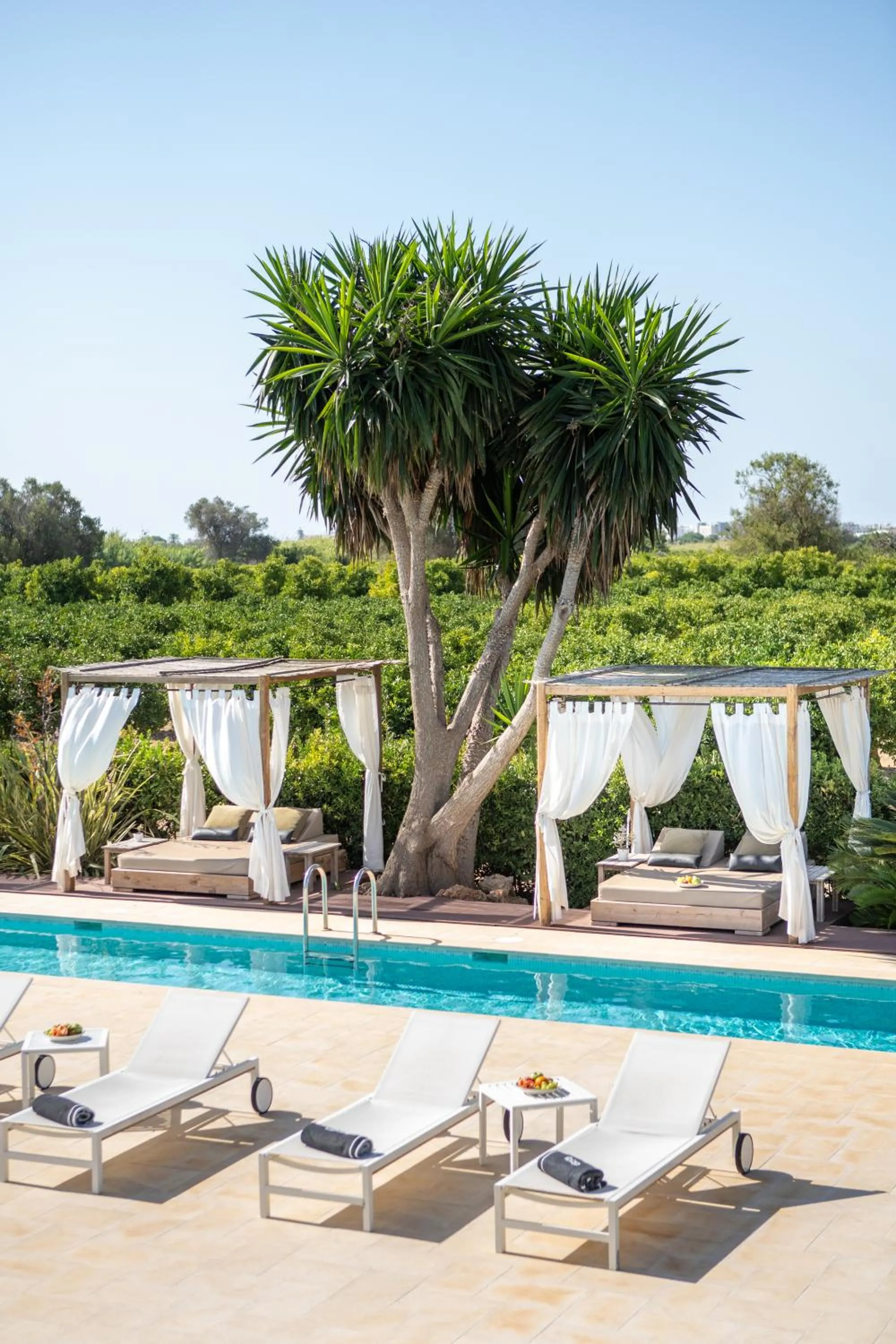 Natural landscape in Can Jaume Private Villas by Ocean Drive