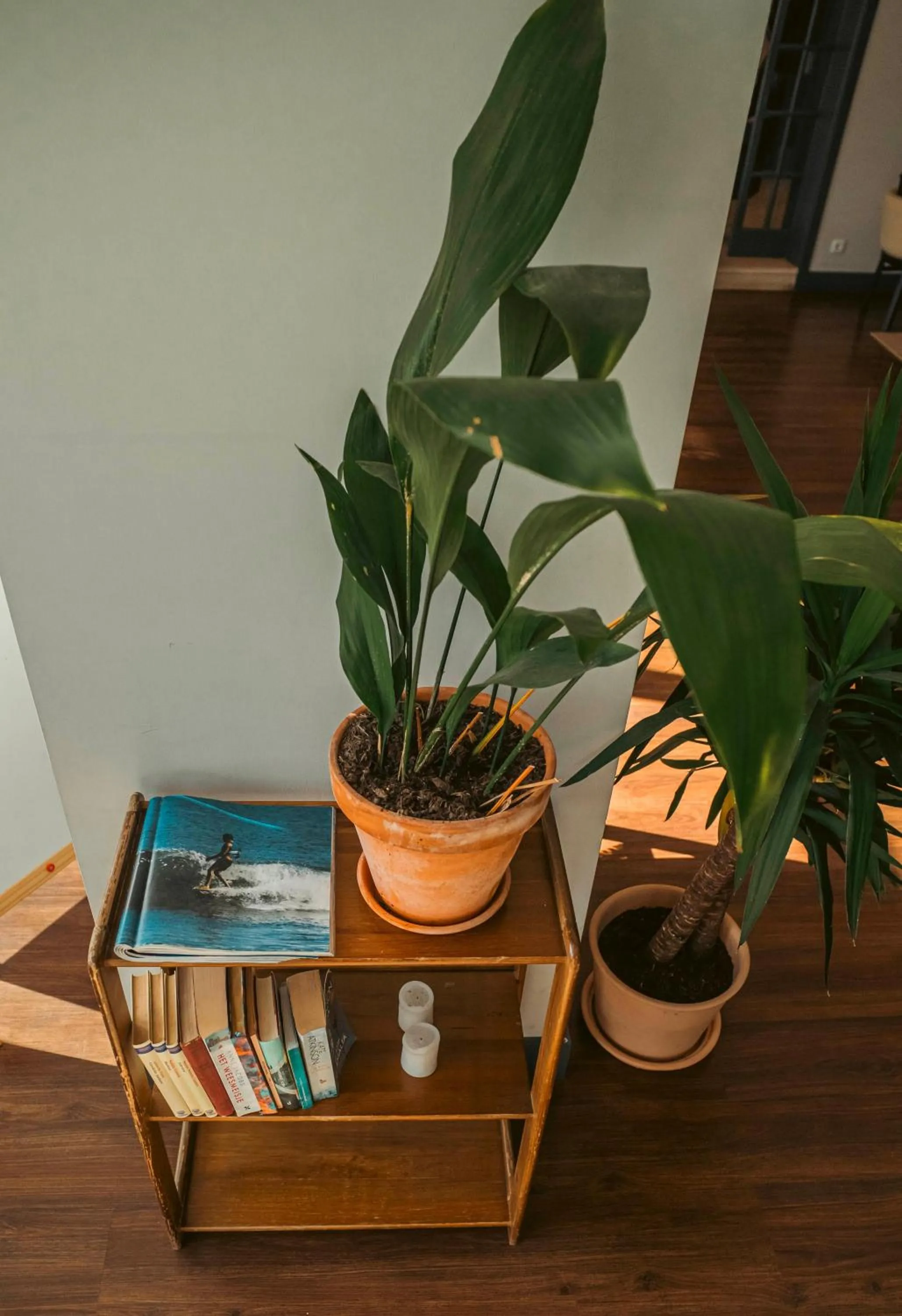 Villa Caparica Hostel
