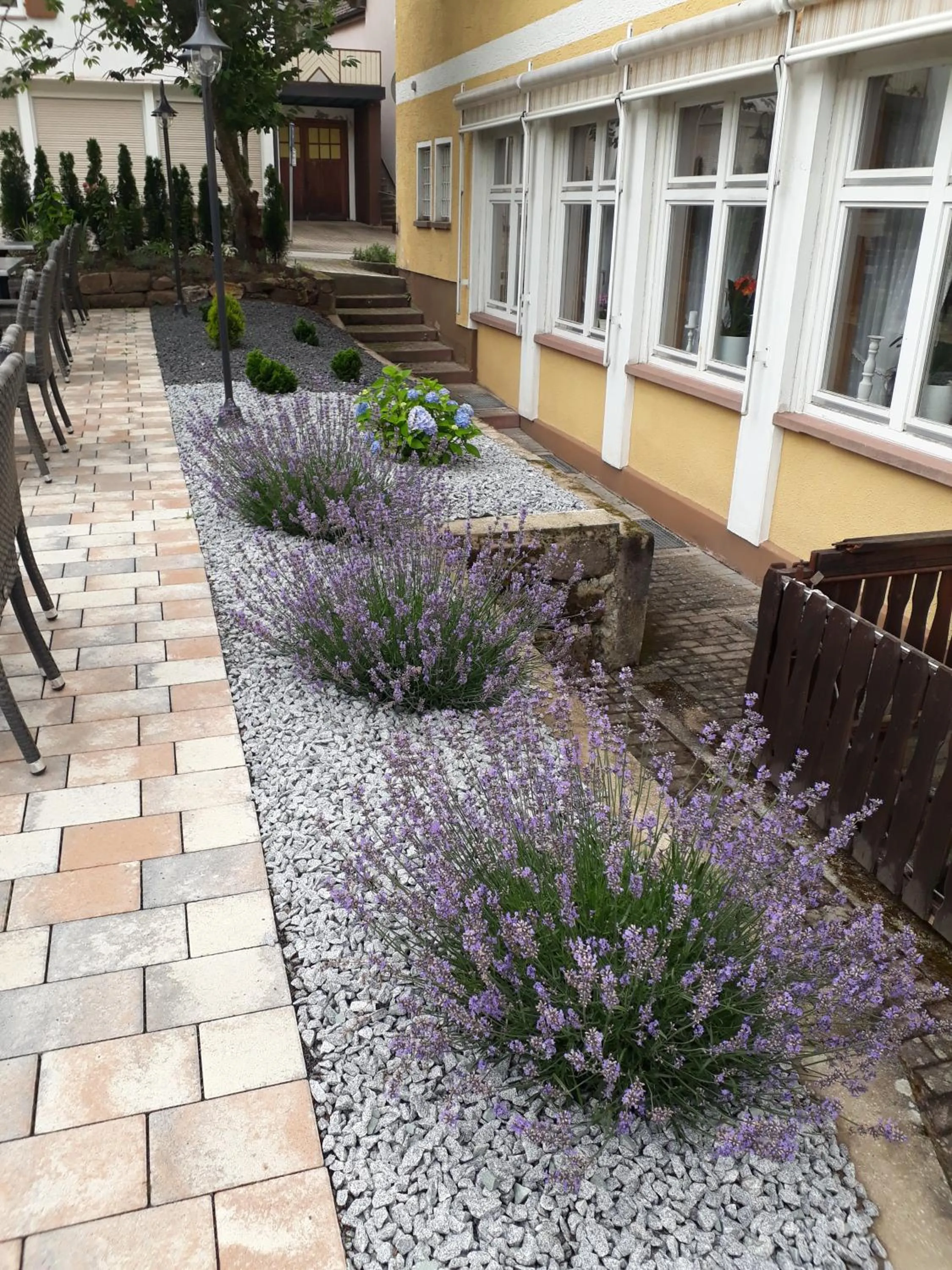 Garden in Hotel Eleon