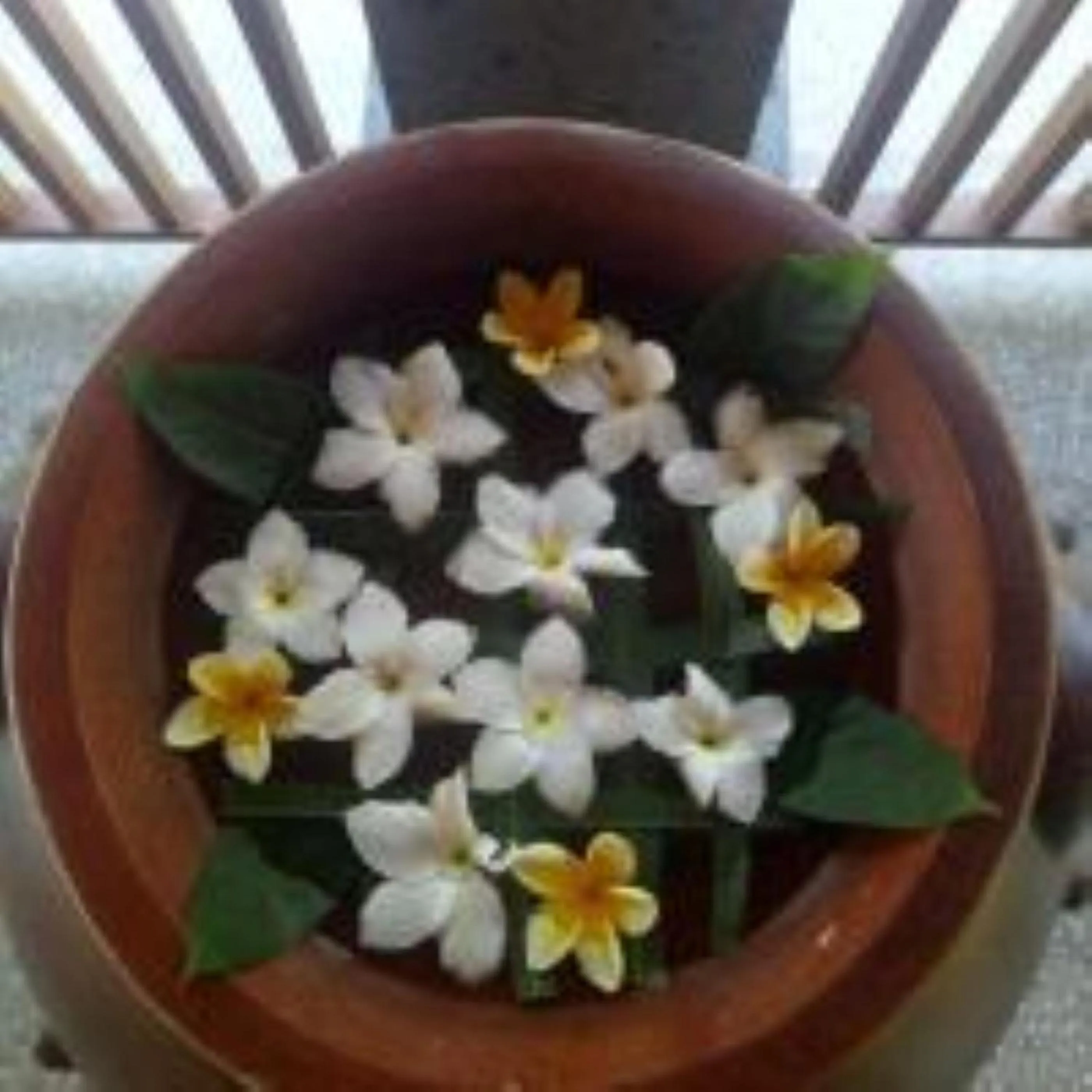 Activities in Ubud Hills Villas & Resort