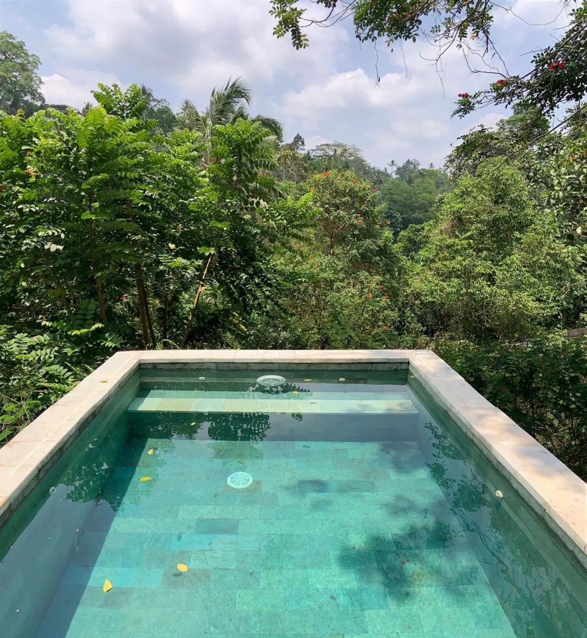 Natural landscape in Ubud Hills Villas & Resort