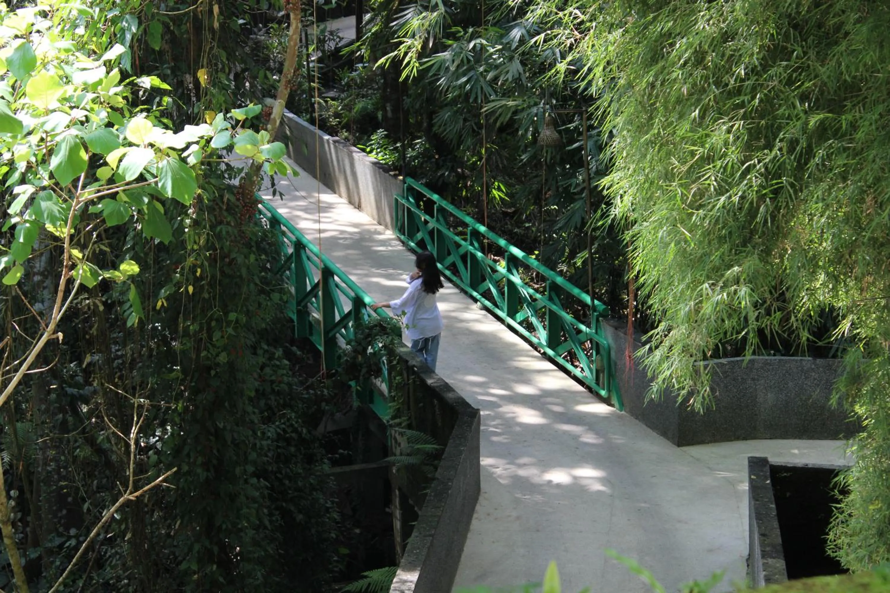 View (from property/room) in Ubud Hills Villas & Resort